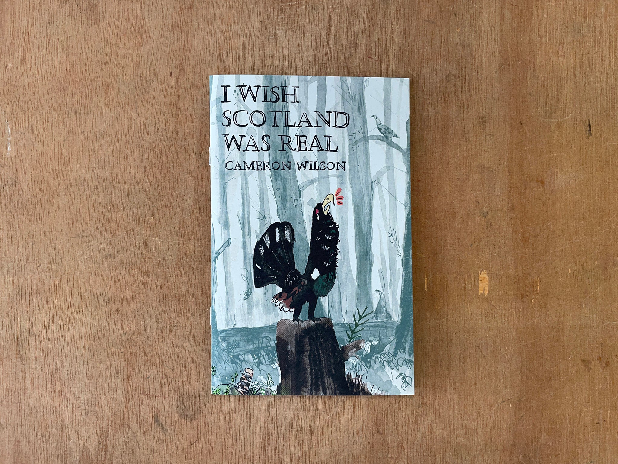 I WISH SCOTLAND WAS REAL by Cameron Wilson