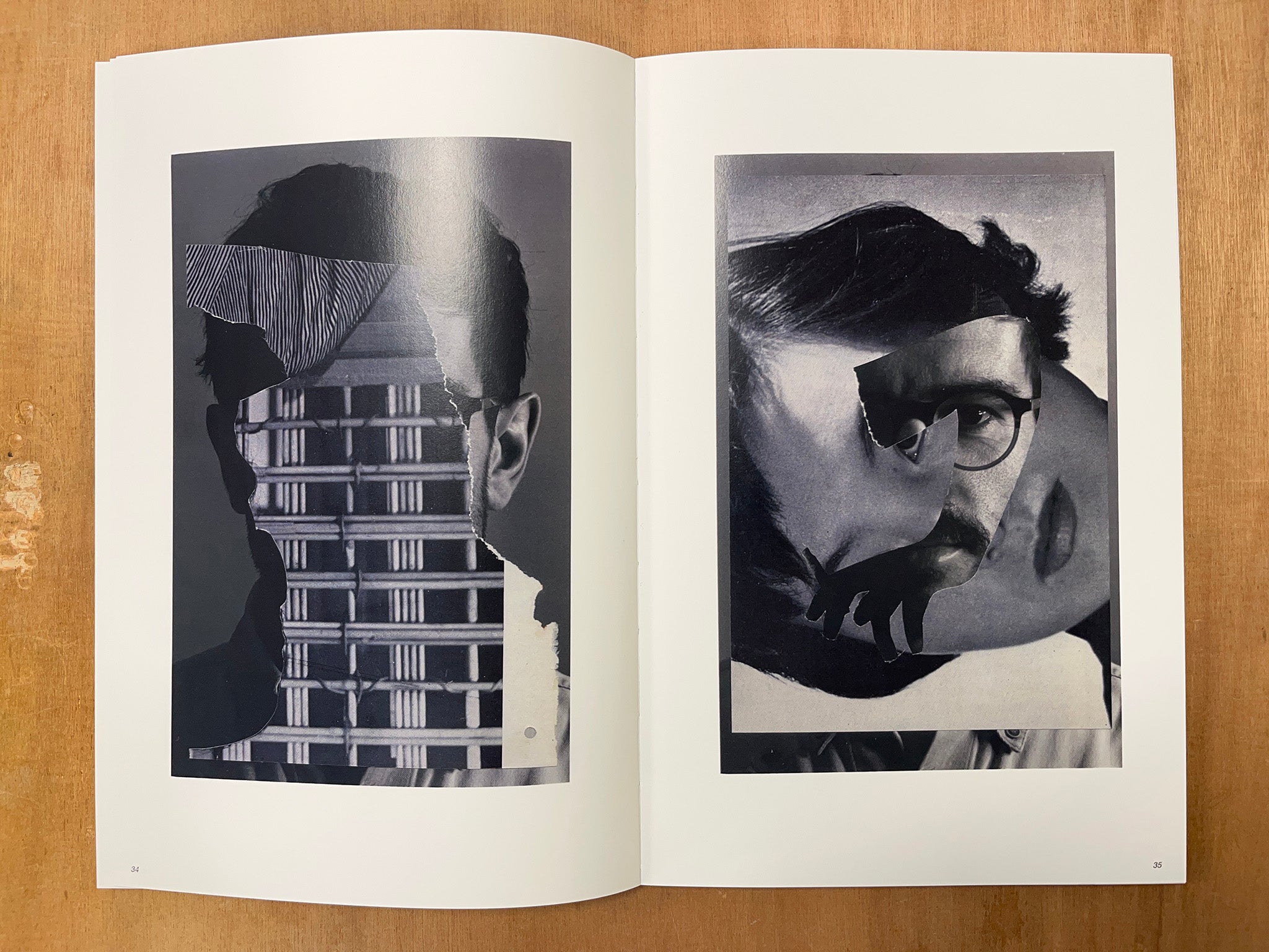 FRANCES, OR SOMETHING SIMILAR by Anthony Gerace