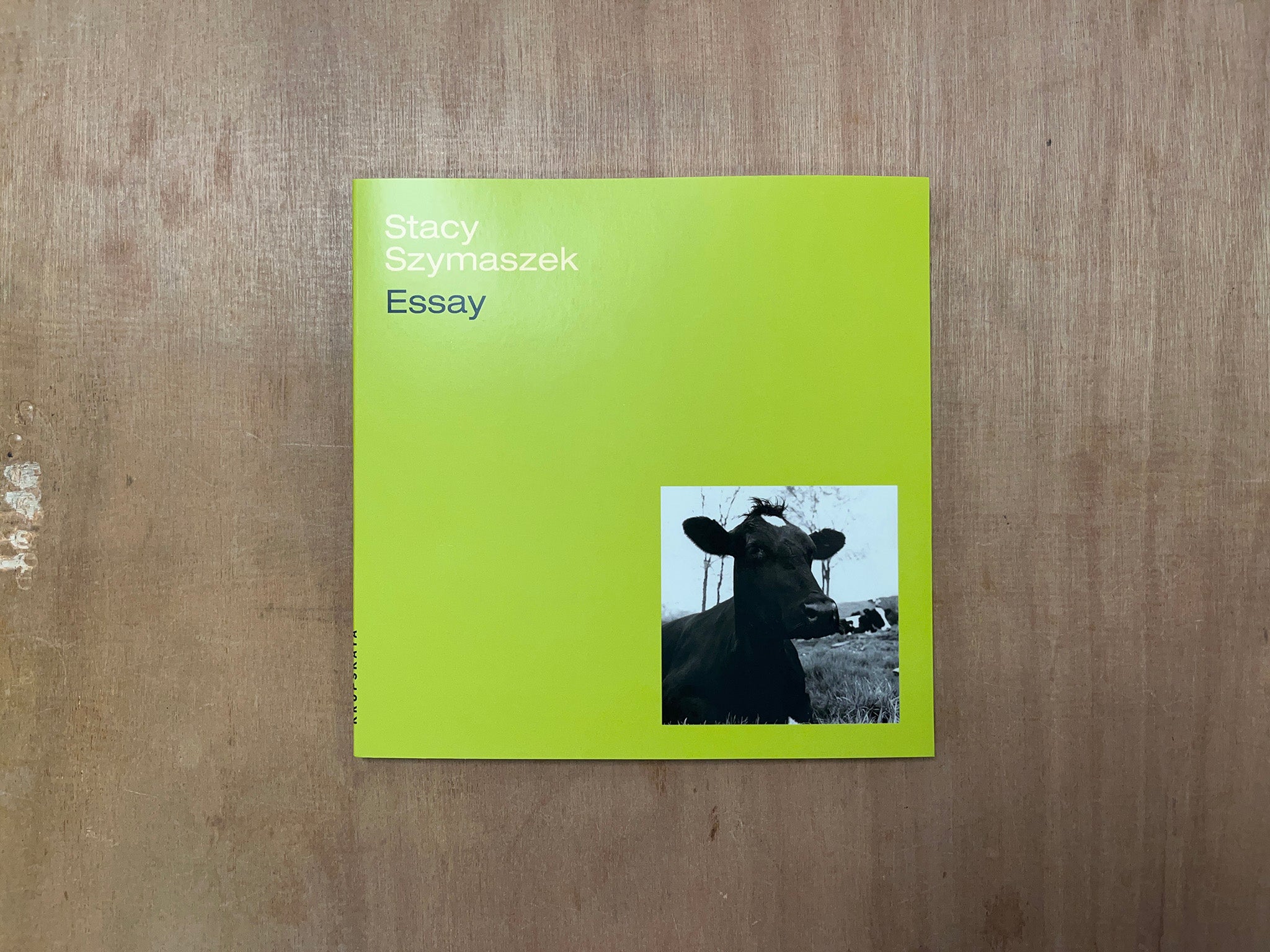 ESSAY by Stacy Szymaszek