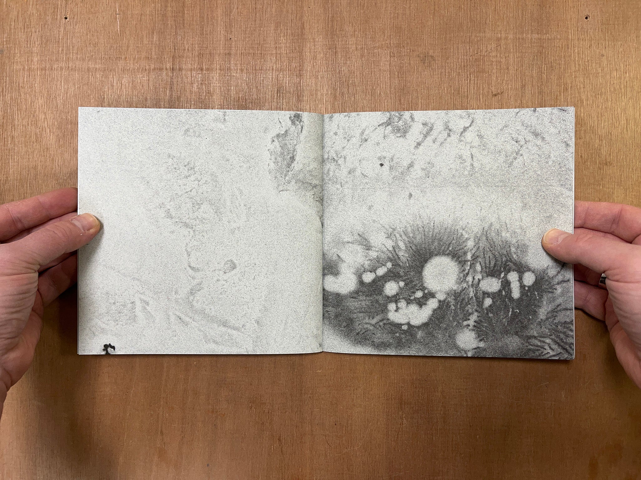 HELIOGRAM by Robin Watkins & Nina Canell