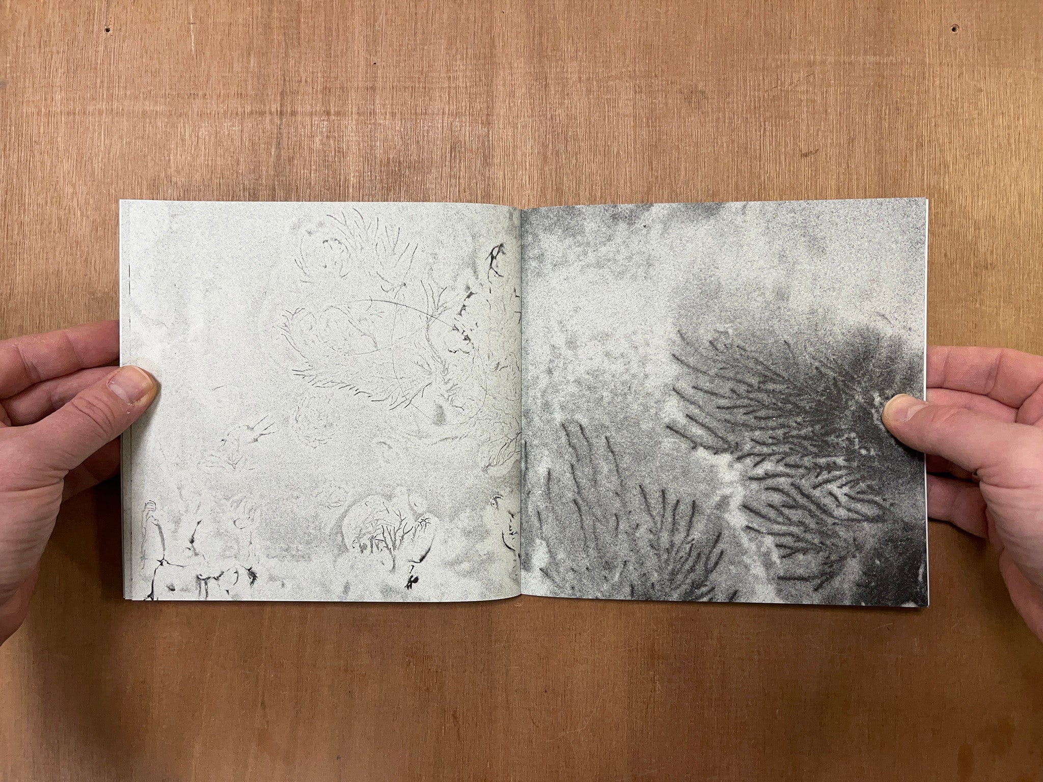 HELIOGRAM by Robin Watkins & Nina Canell