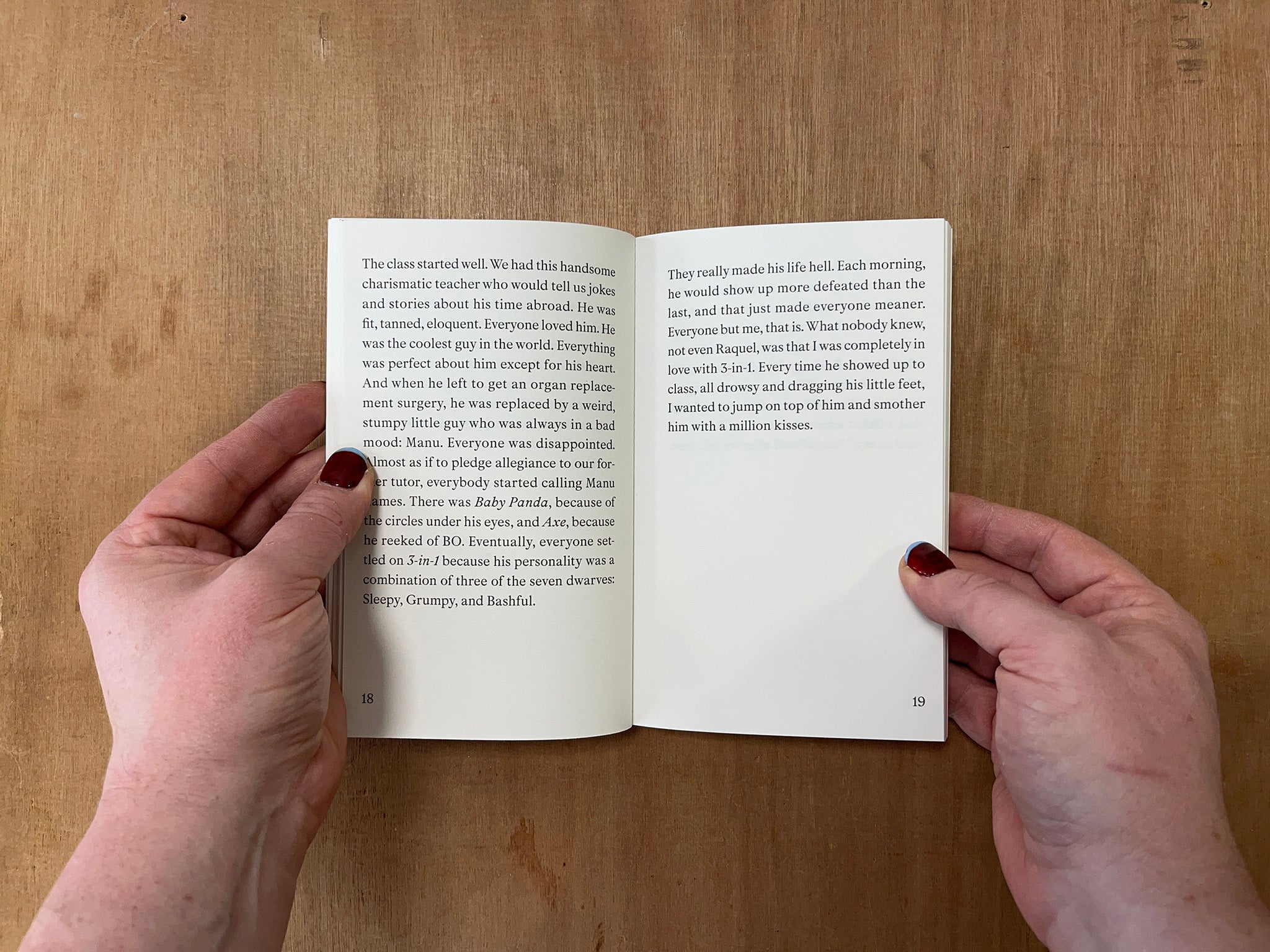 THE GERMAN TEACHER by Amalia Ulman