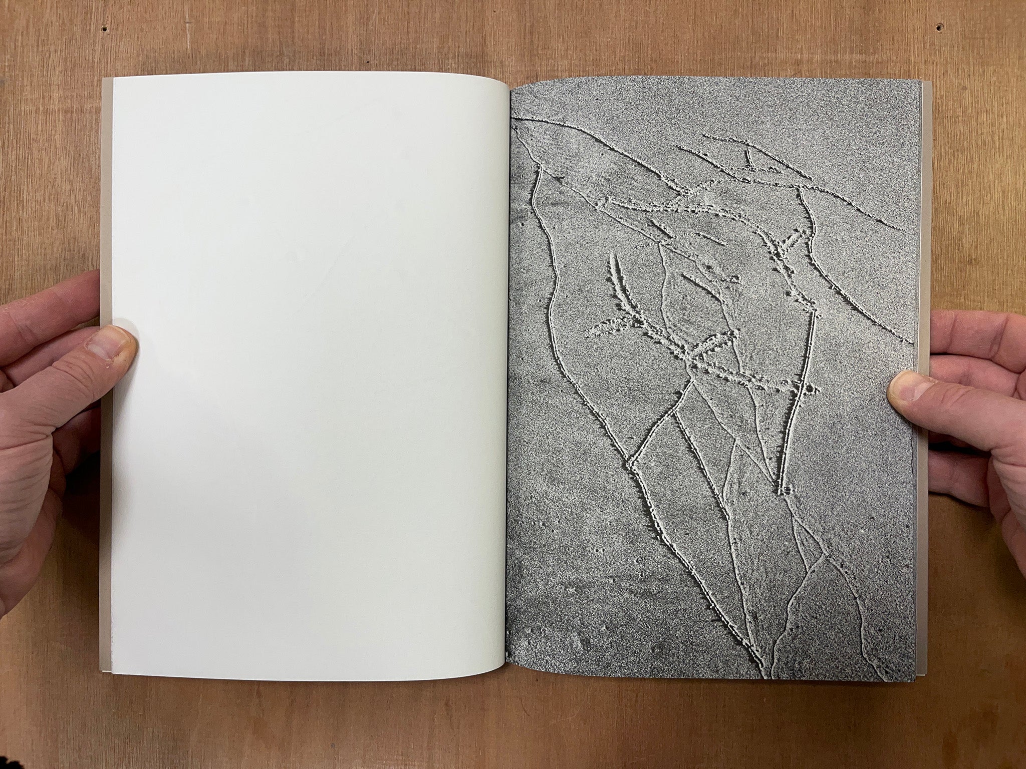 IMPRINTS II by Ben K. Voss & Midge Wattles