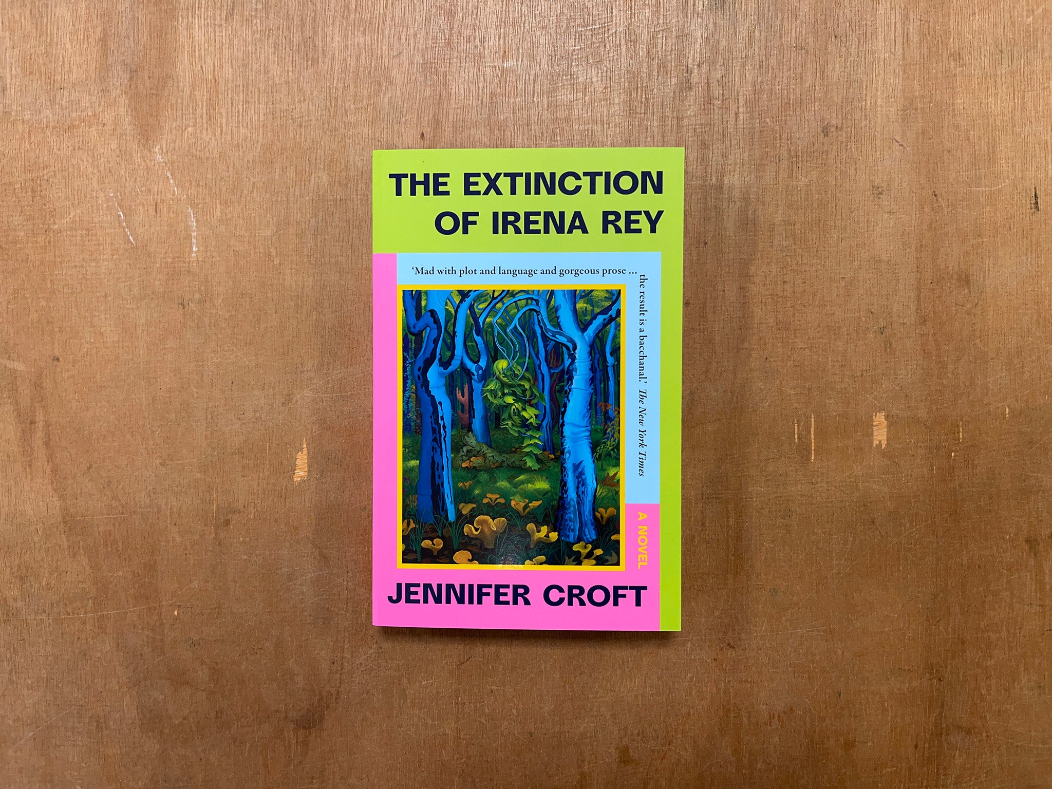 THE EXTINCTION OF IRENA REY by Jennifer Croft