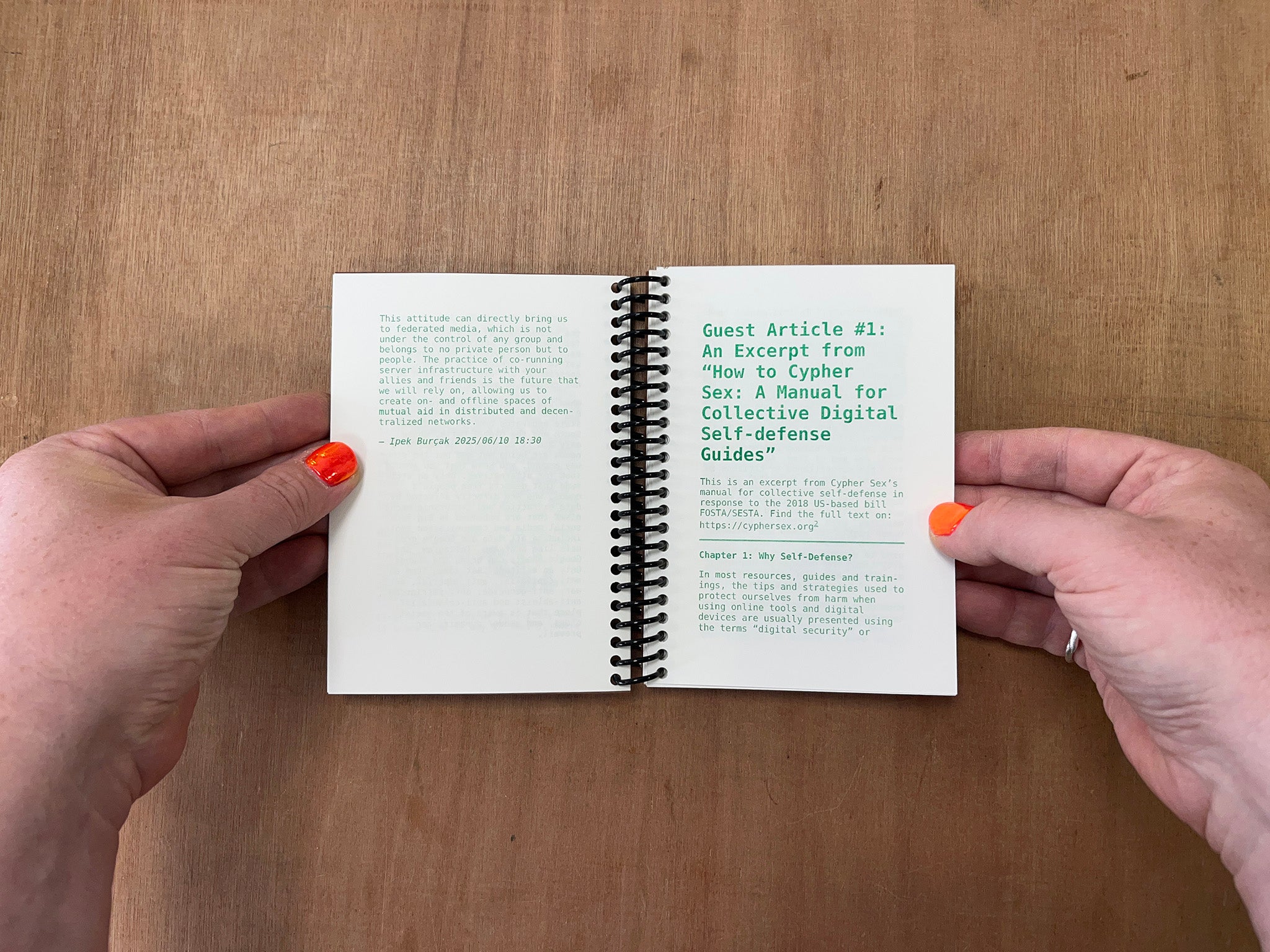 POST-PLATFORM DIGITAL PUBLISHING TOOLKIT by Ipek Burçak & Eren Ileri (Eds.)