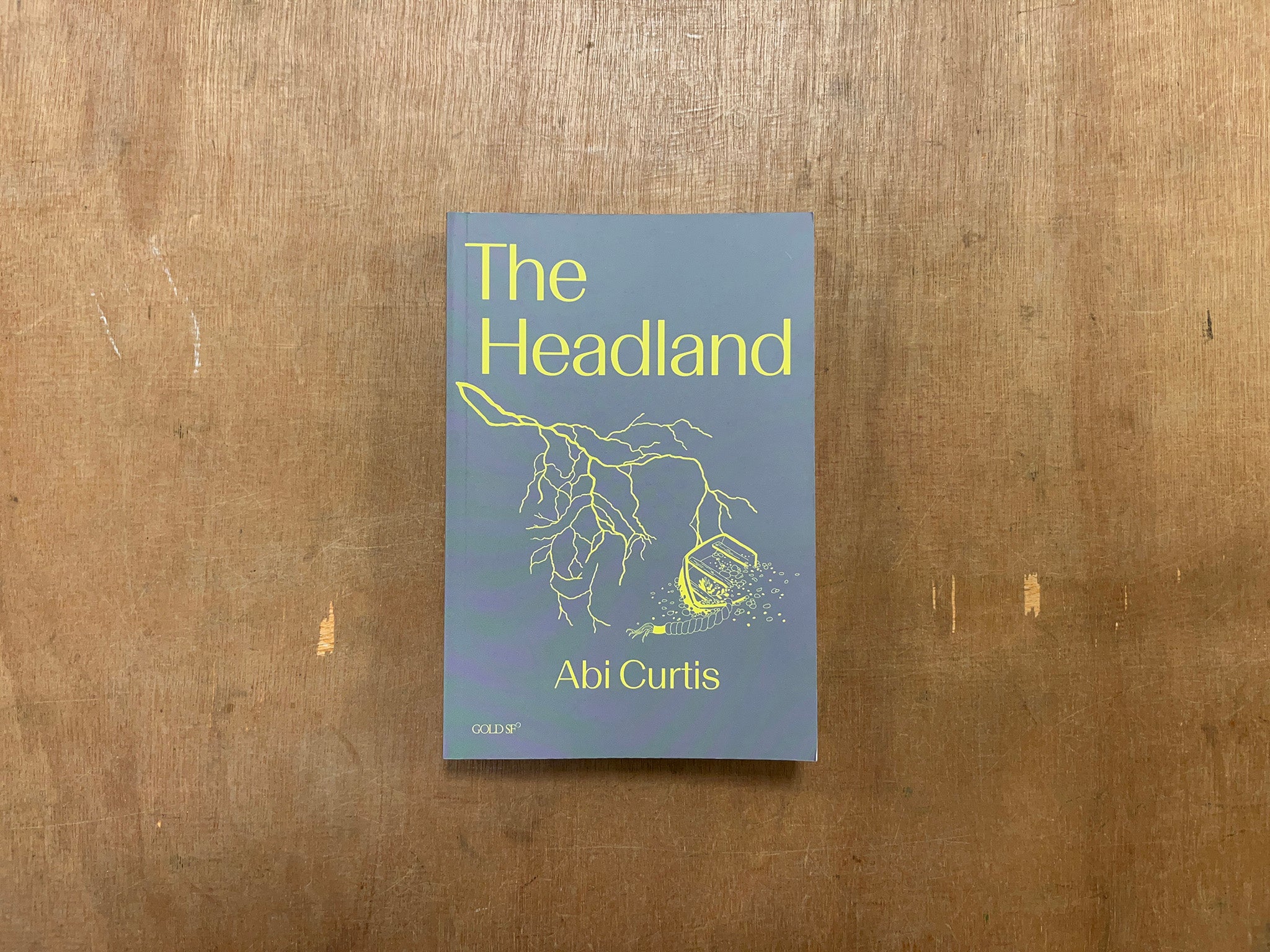 THE HEADLAND by Abi Curtis