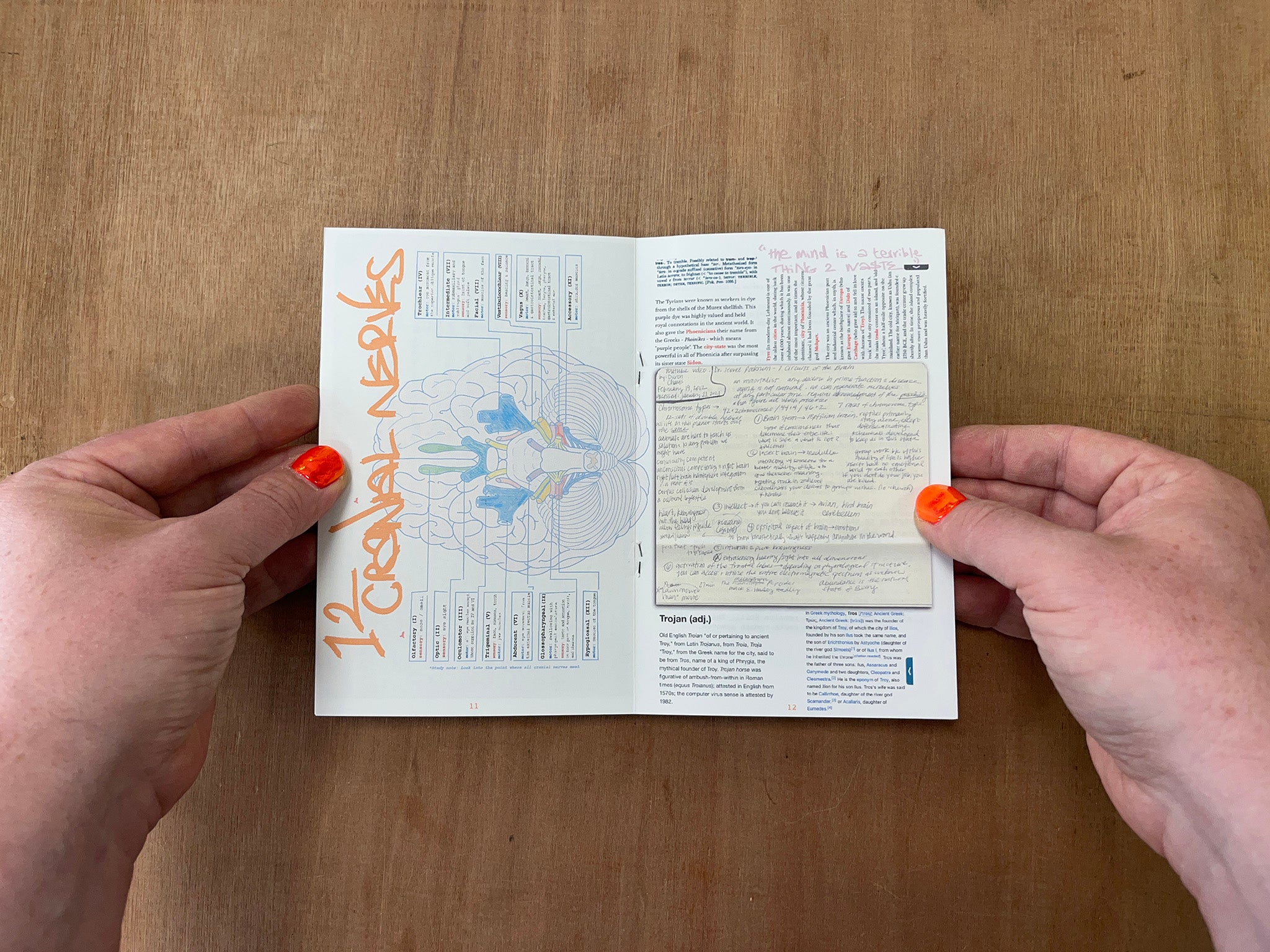 11:59 ZINE, VOLUME 3 by Nia Belton