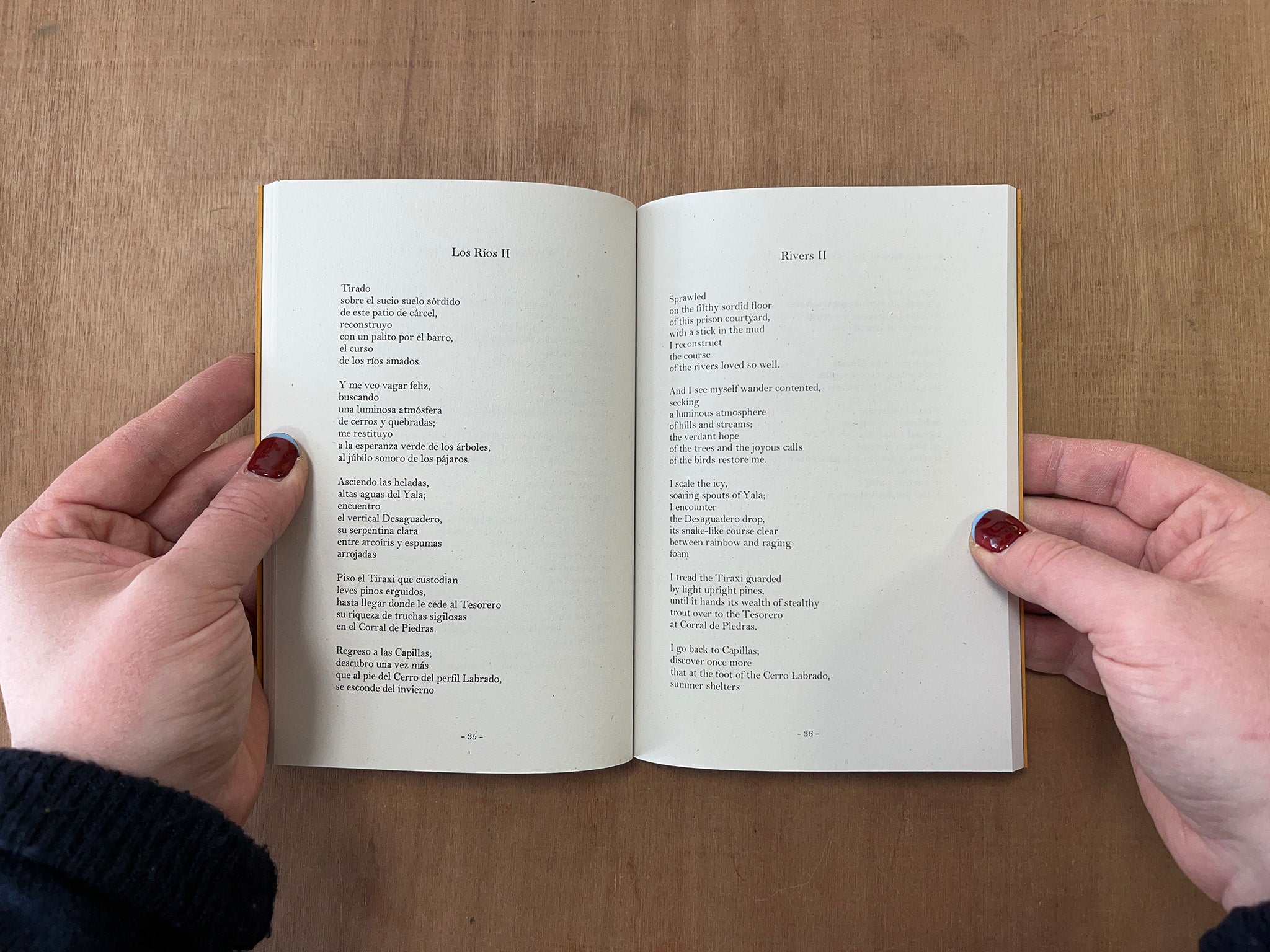 INSIDE/DESDE LA CÁRCEL by Leire Barrera & Dan Eltringham