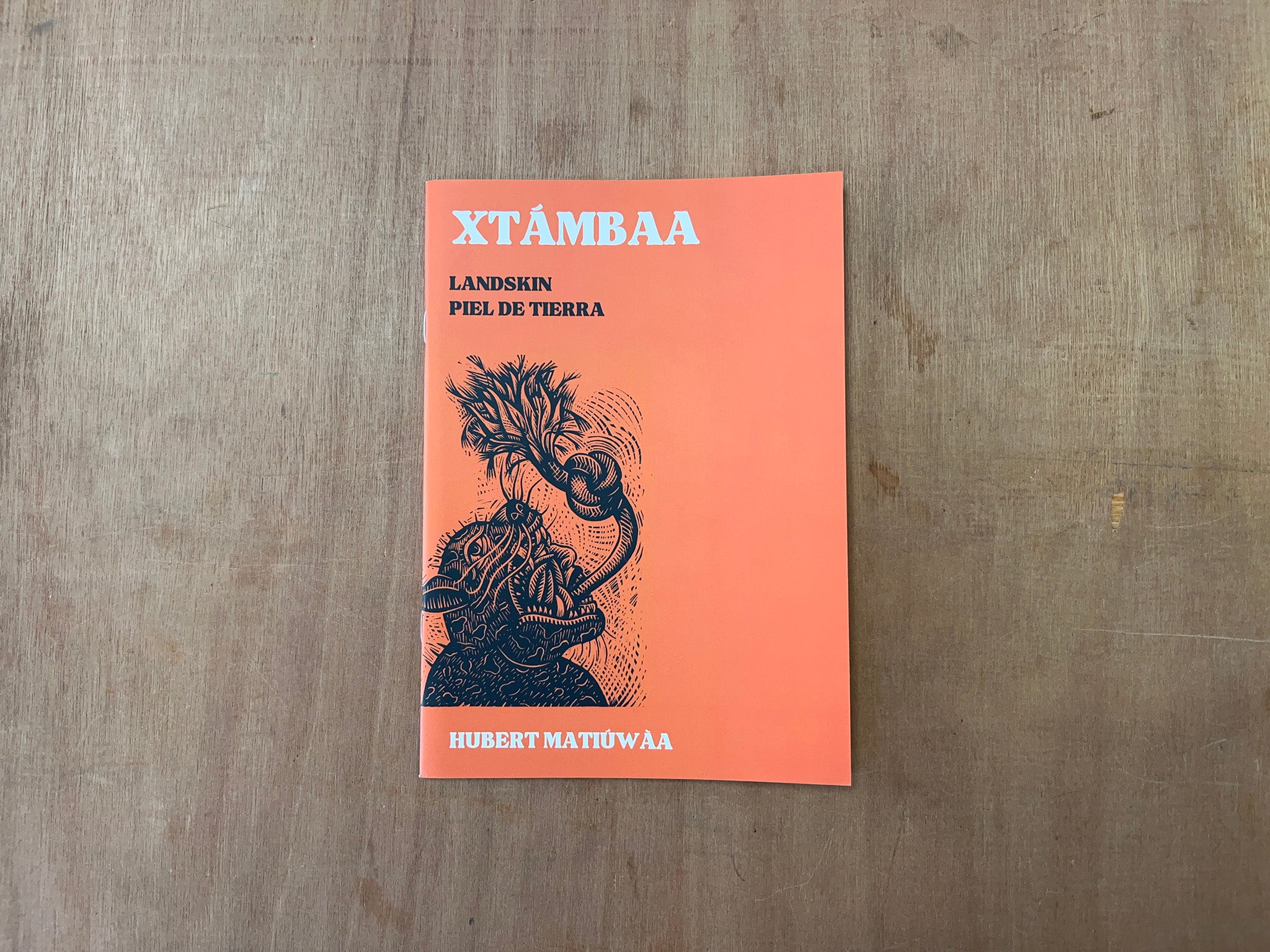 XTÁMBAA/LANDSKIN/PIEL DE TIERRA by Hubert Matiúwàa & Juana Adcock