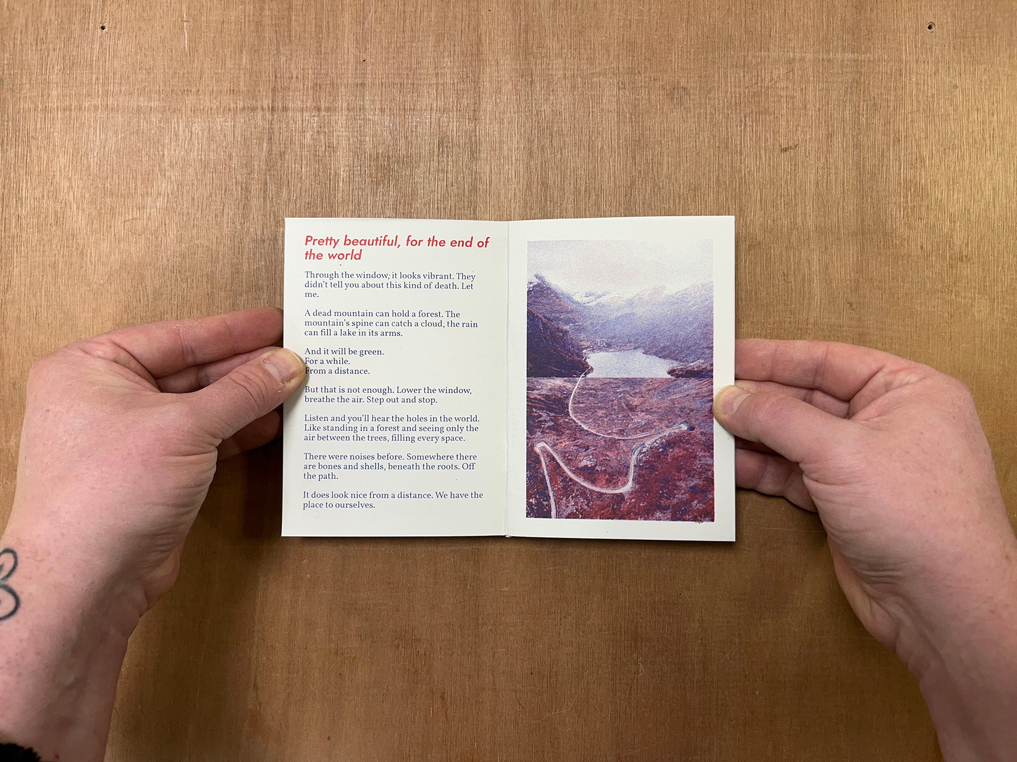 THEY KILLED US ALL AND THERE IS NO MORE TRAFFIC by Folly Problem