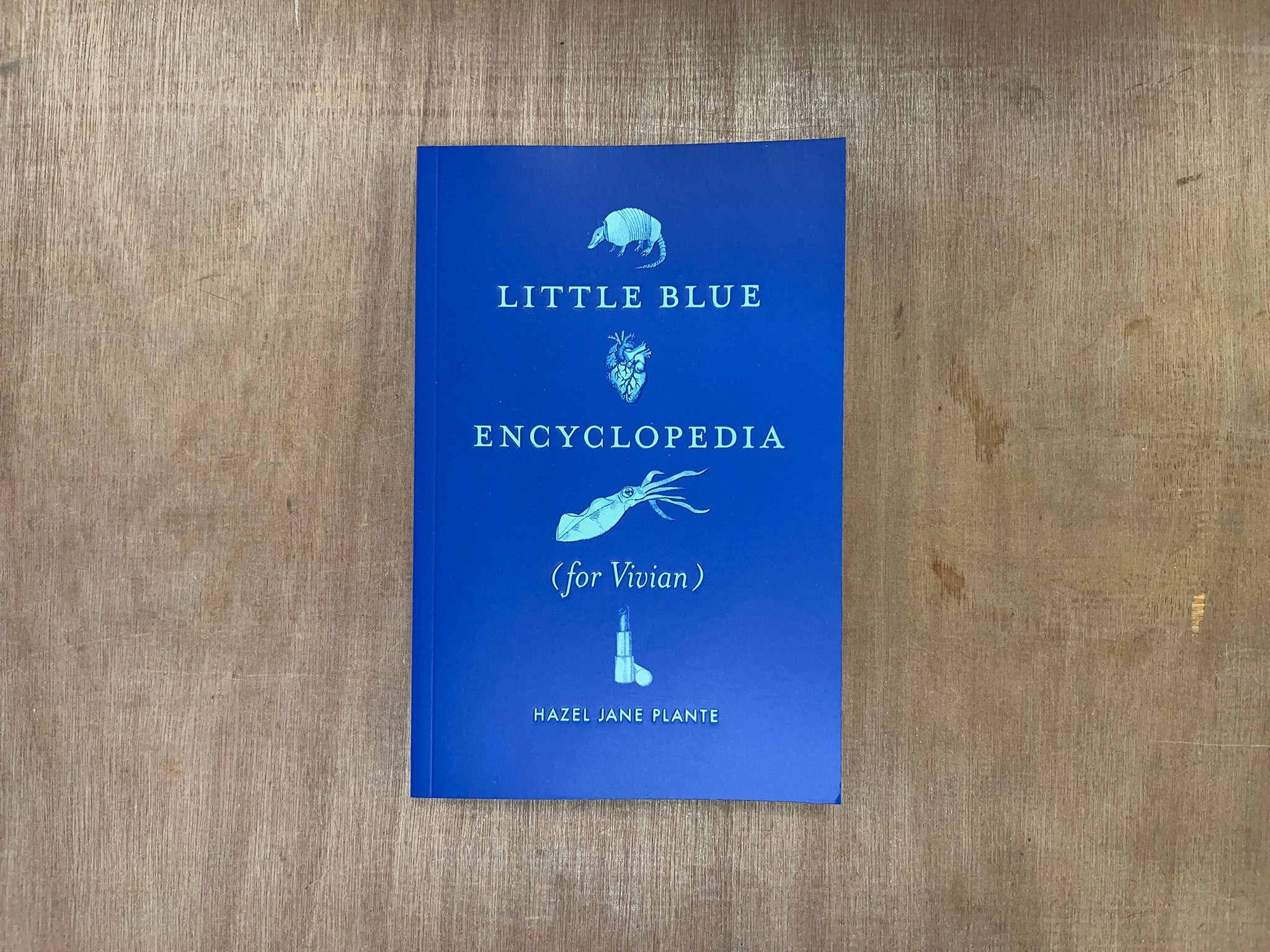 LITTLE BLUE ENCYCLOPEDIA (FOR VIVIAN) by Hazel Jane Plante