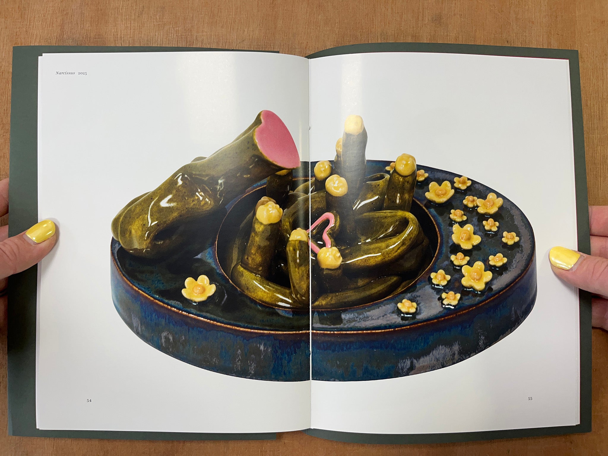 HOLLY STEVENSON: TRACING THE IRRETRACEABLE