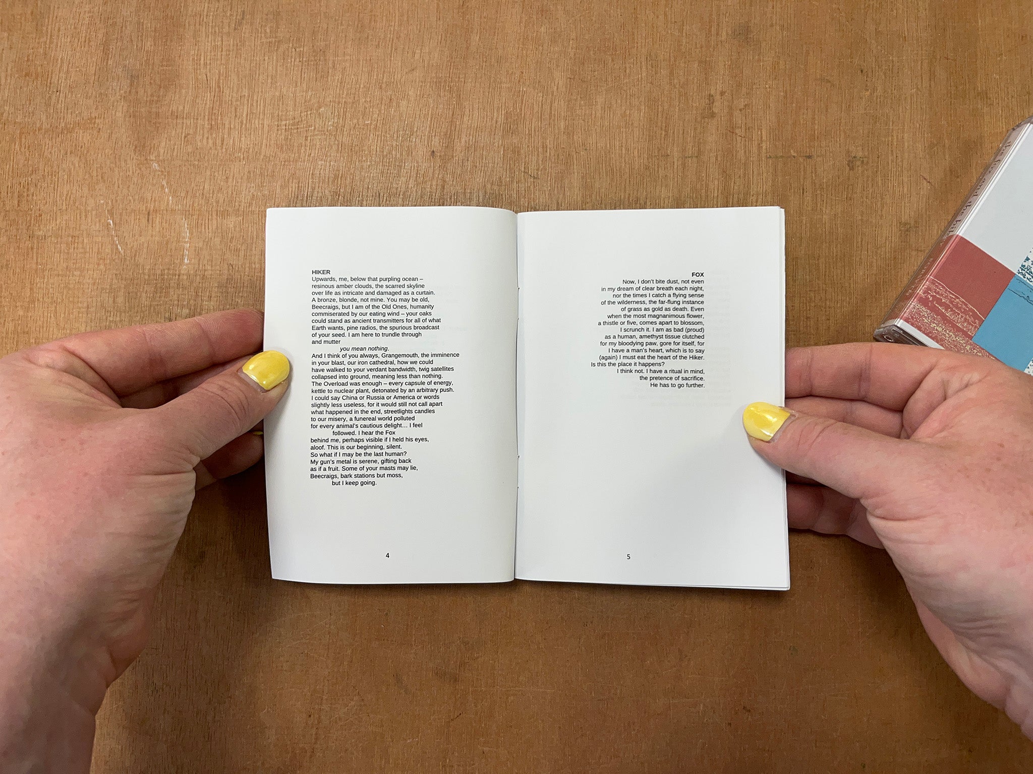 THE FOX AND THE HIKER by FORSYTH & Ian Macartney
