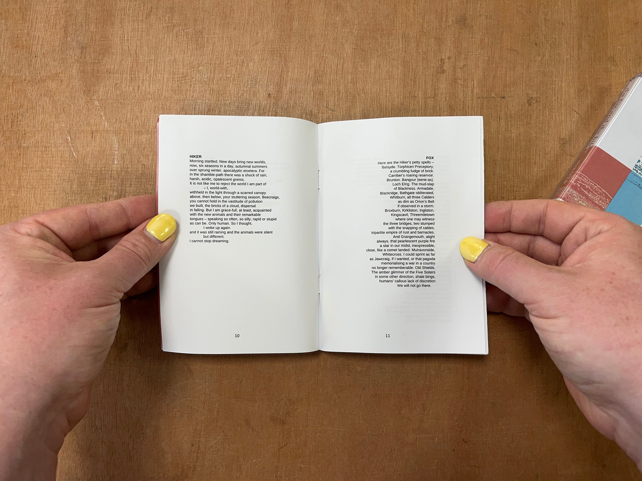 THE FOX AND THE HIKER by FORSYTH & Ian Macartney