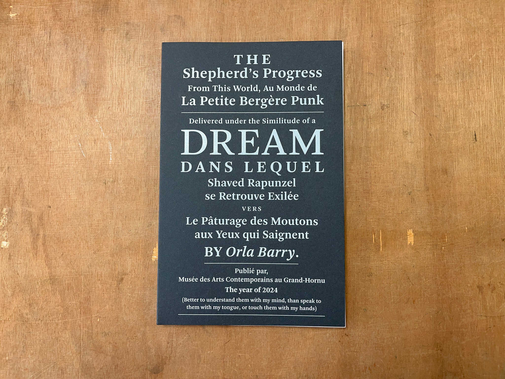 THE SHEPHERD’S PROGRESS by Orla Barry