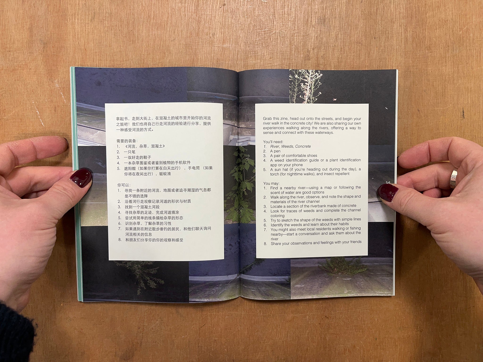 RIVER, WEEDS, CONCRETE by Yawen Cai, Jianing Chen, Regina Liu