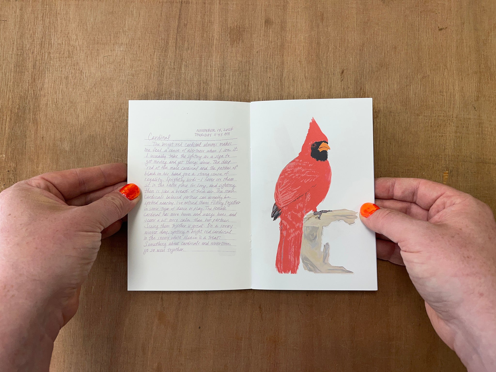 BIRDS by Nia Belton