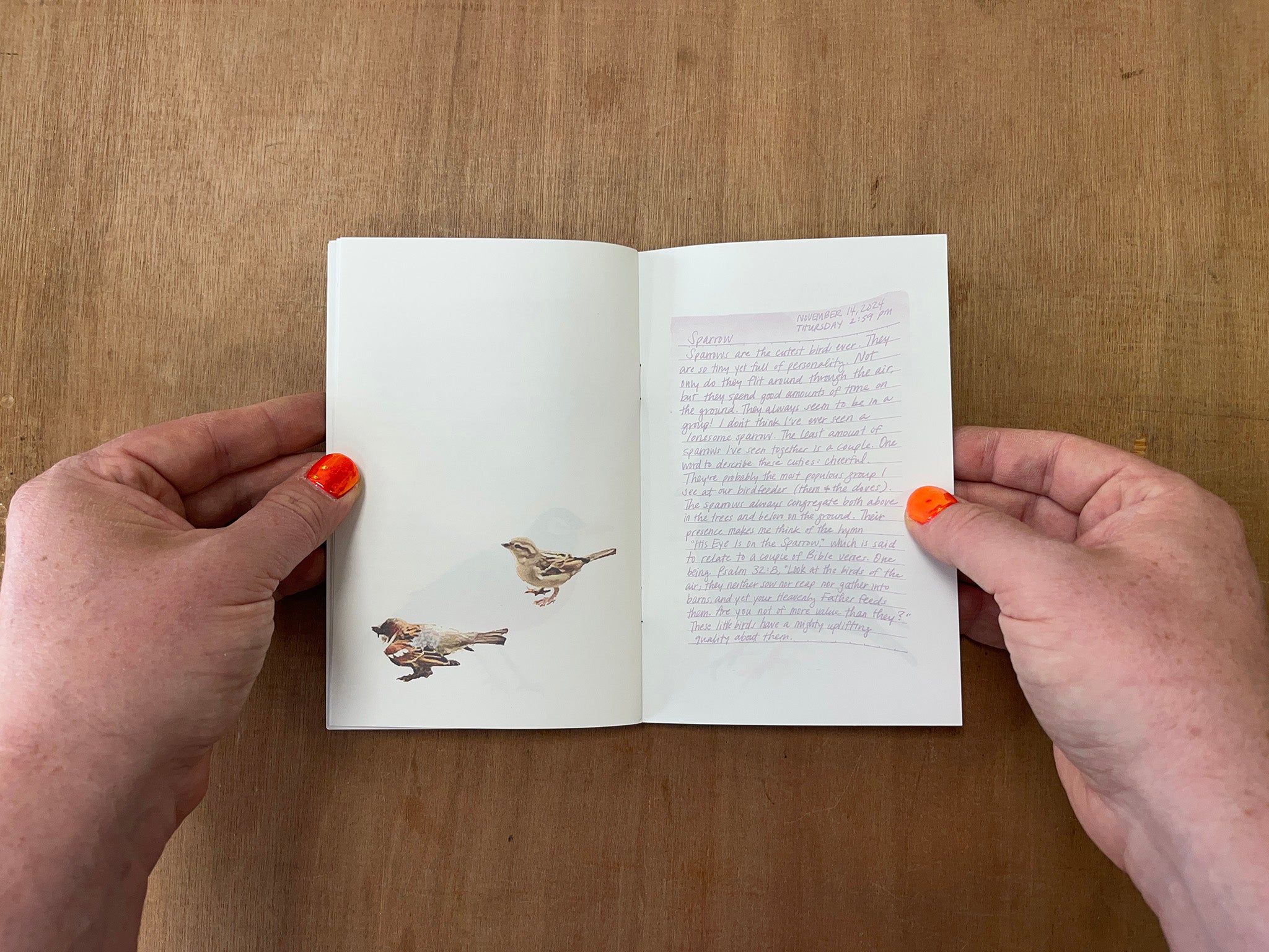 BIRDS by Nia Belton