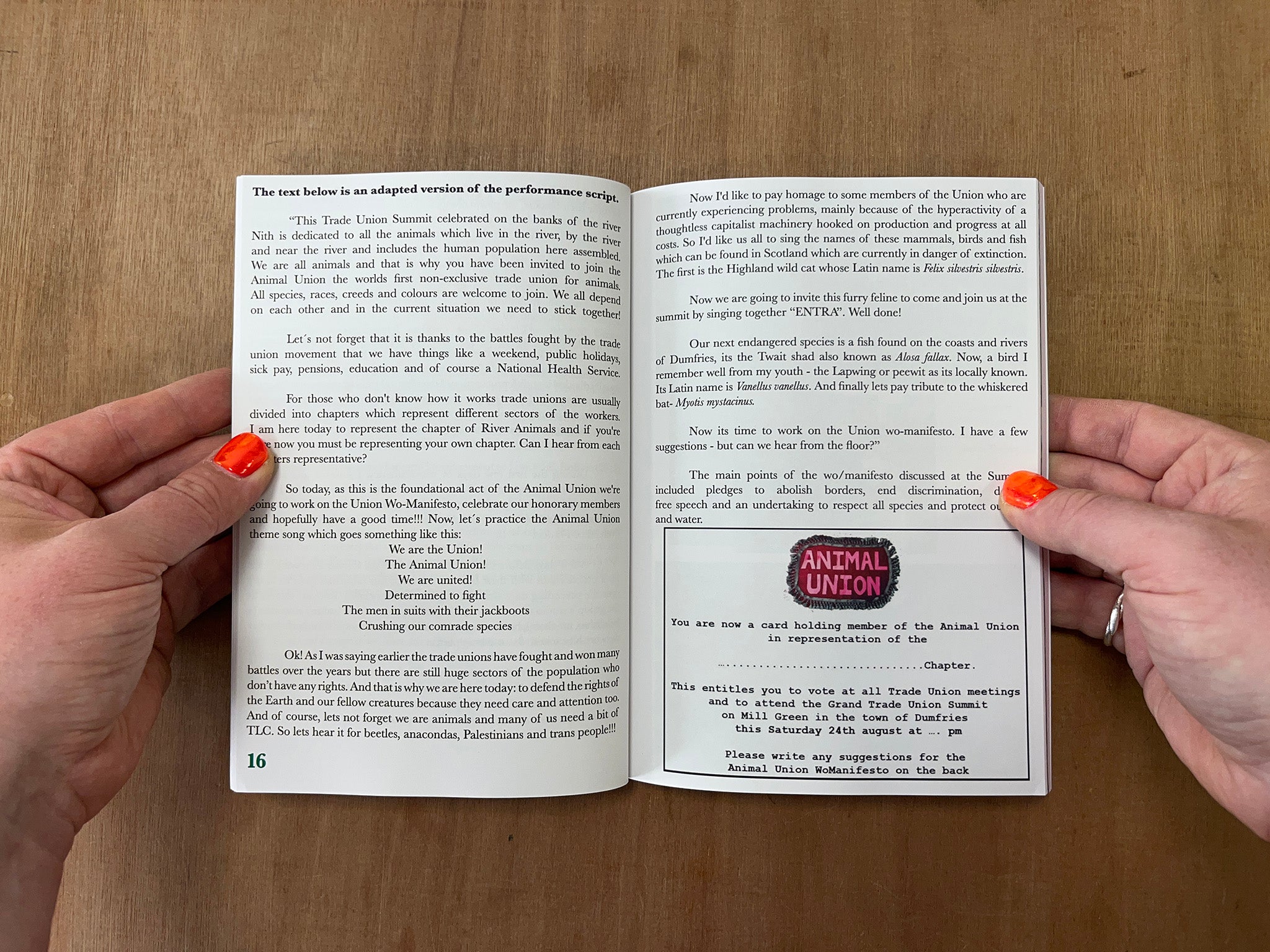 TRANS TERRITORY, ANIMAL UNIÓN & OTHER ECOQUEER UTOPÍAS by Graham Bell Tornado