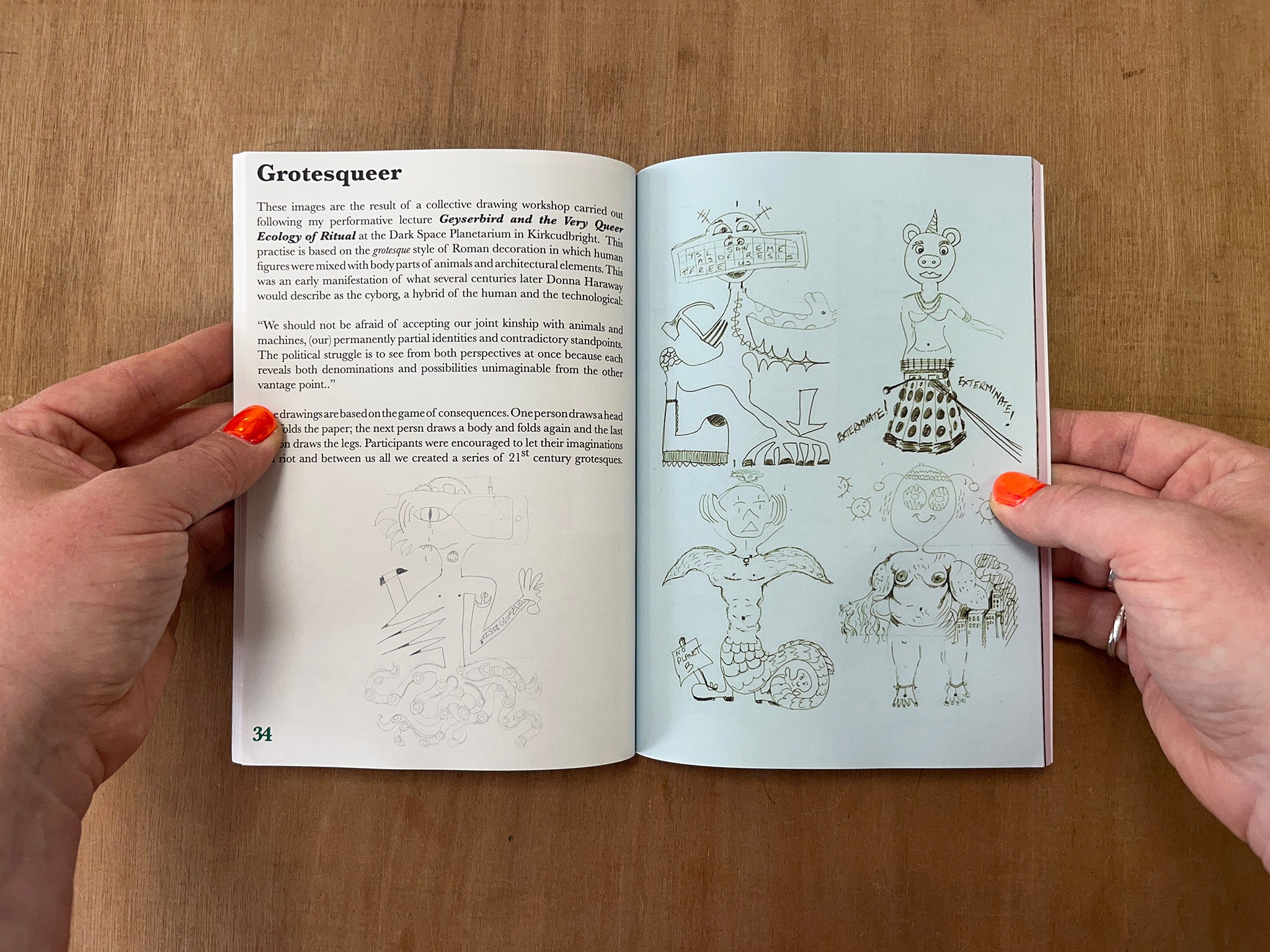 TRANS TERRITORY, ANIMAL UNIÓN & OTHER ECOQUEER UTOPÍAS by Graham Bell Tornado