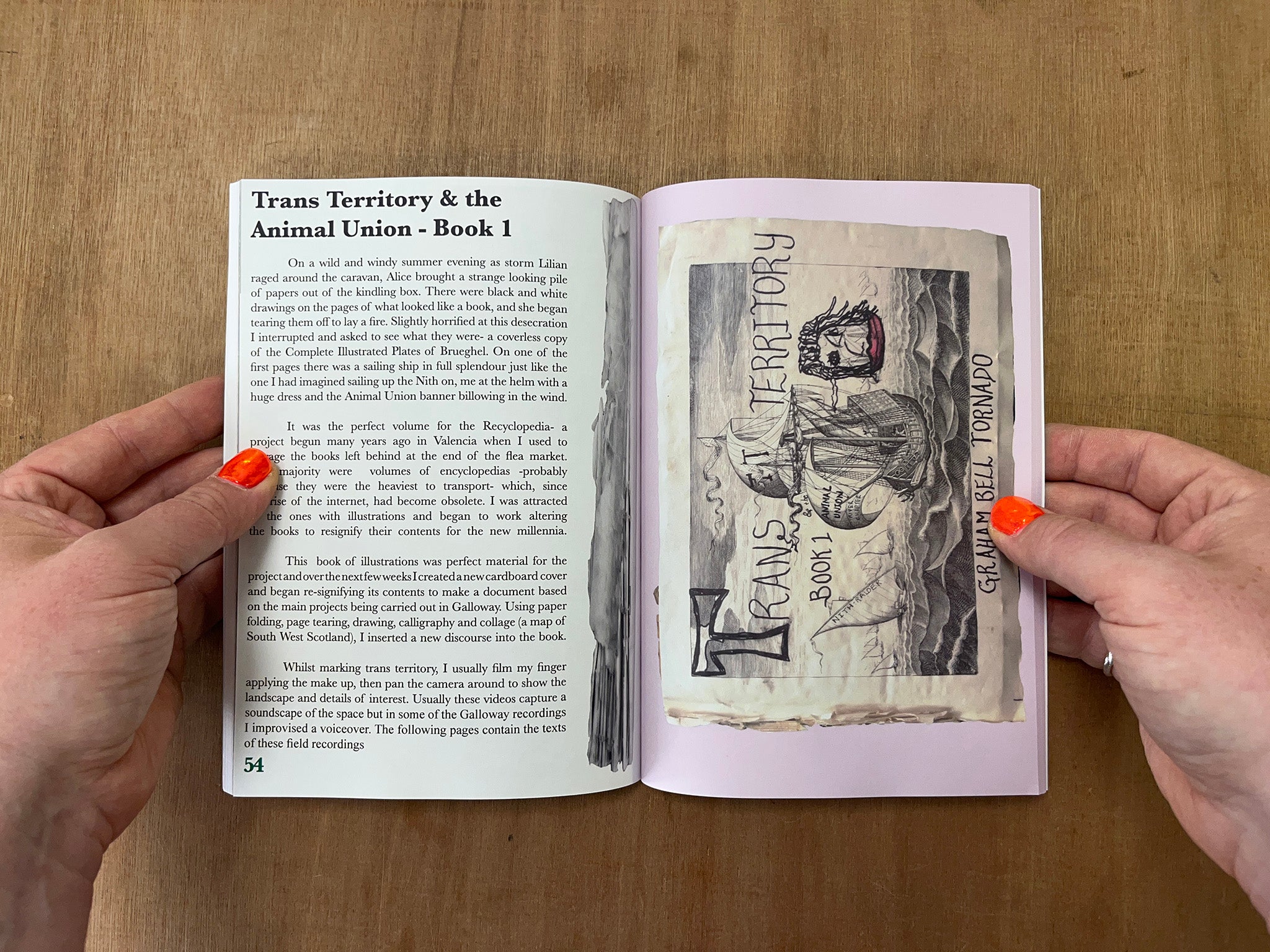 TRANS TERRITORY, ANIMAL UNIÓN & OTHER ECOQUEER UTOPÍAS by Graham Bell Tornado