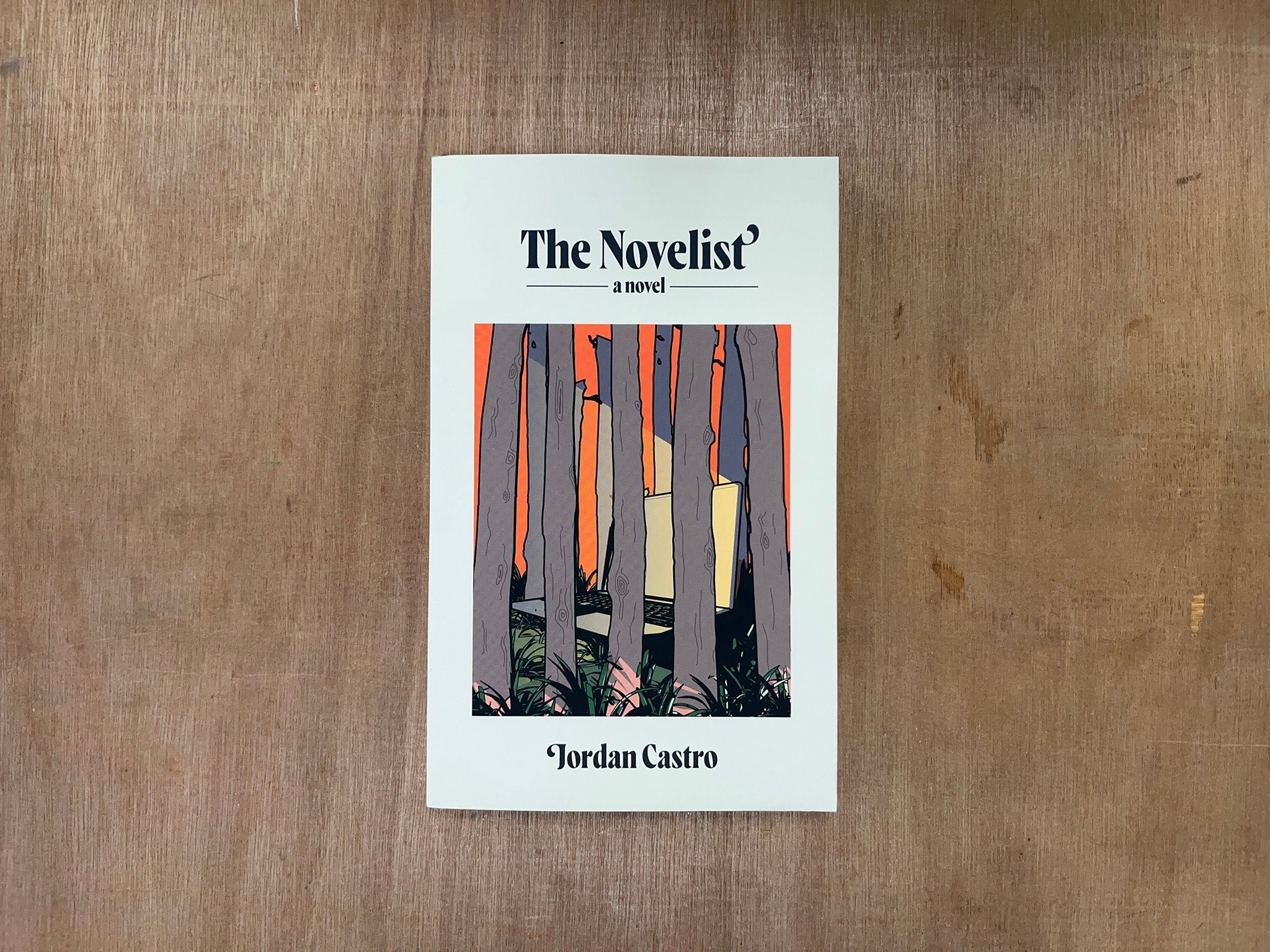 THE NOVELIST: A NOVEL by Jordan Castro