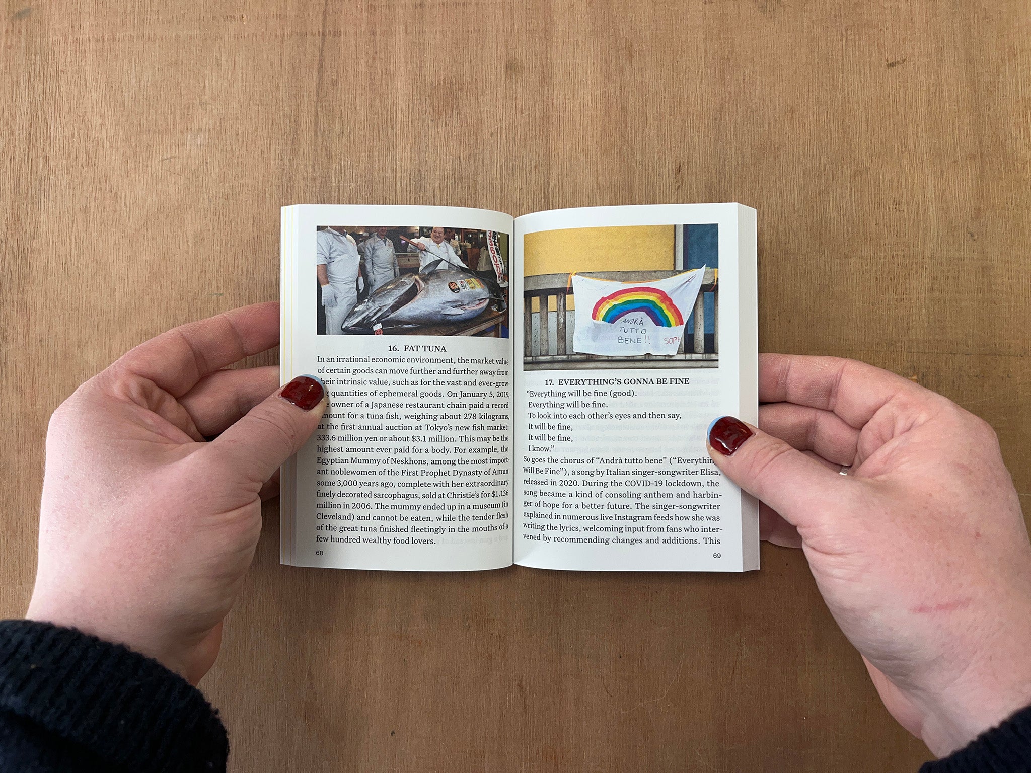 IRRATIONAL: A VISUAL DIRECTORY TO A WORLD WITH NO REASON by Francesco Jodice & Francesco Zanot