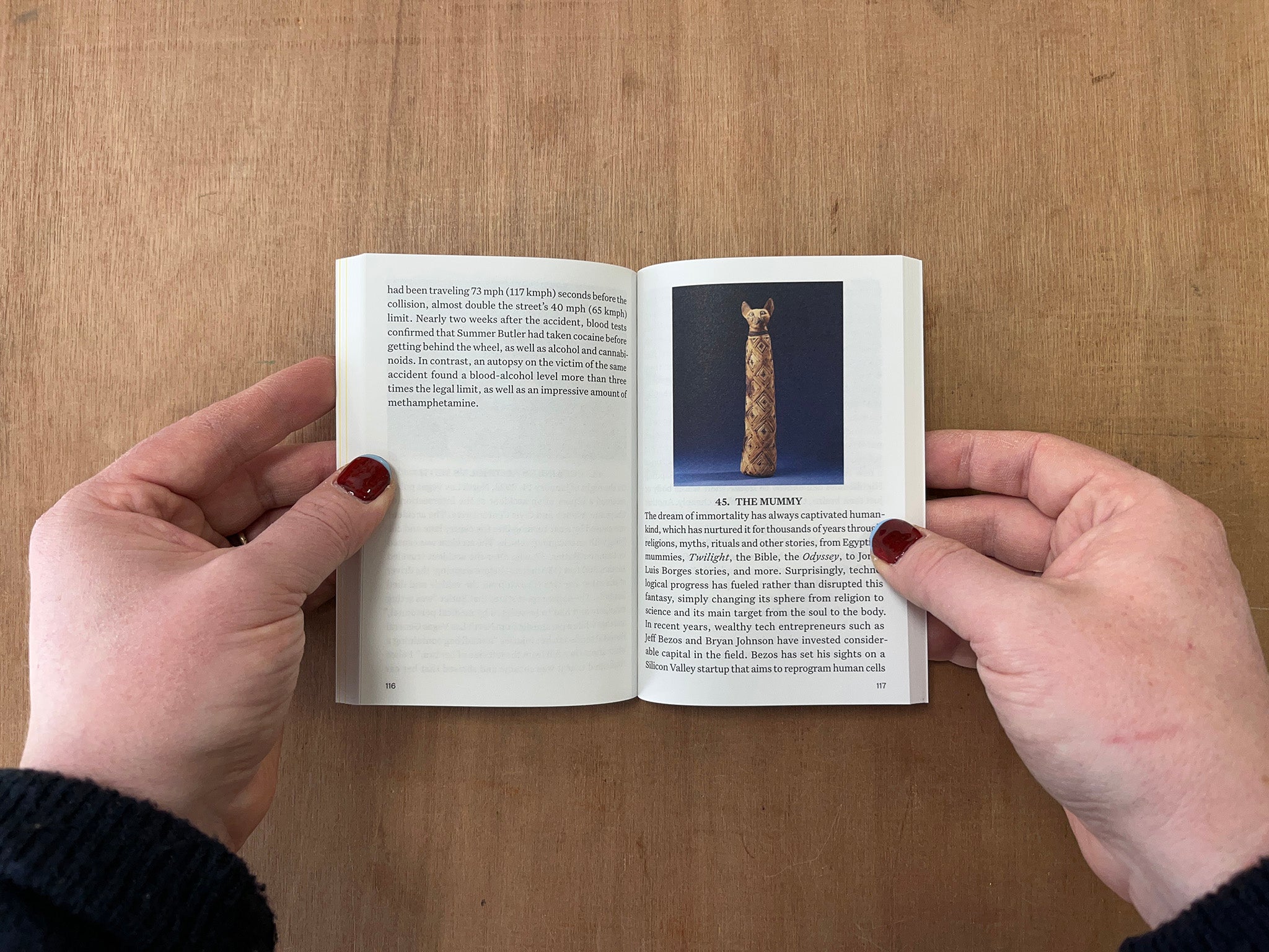 IRRATIONAL: A VISUAL DIRECTORY TO A WORLD WITH NO REASON by Francesco Jodice & Francesco Zanot