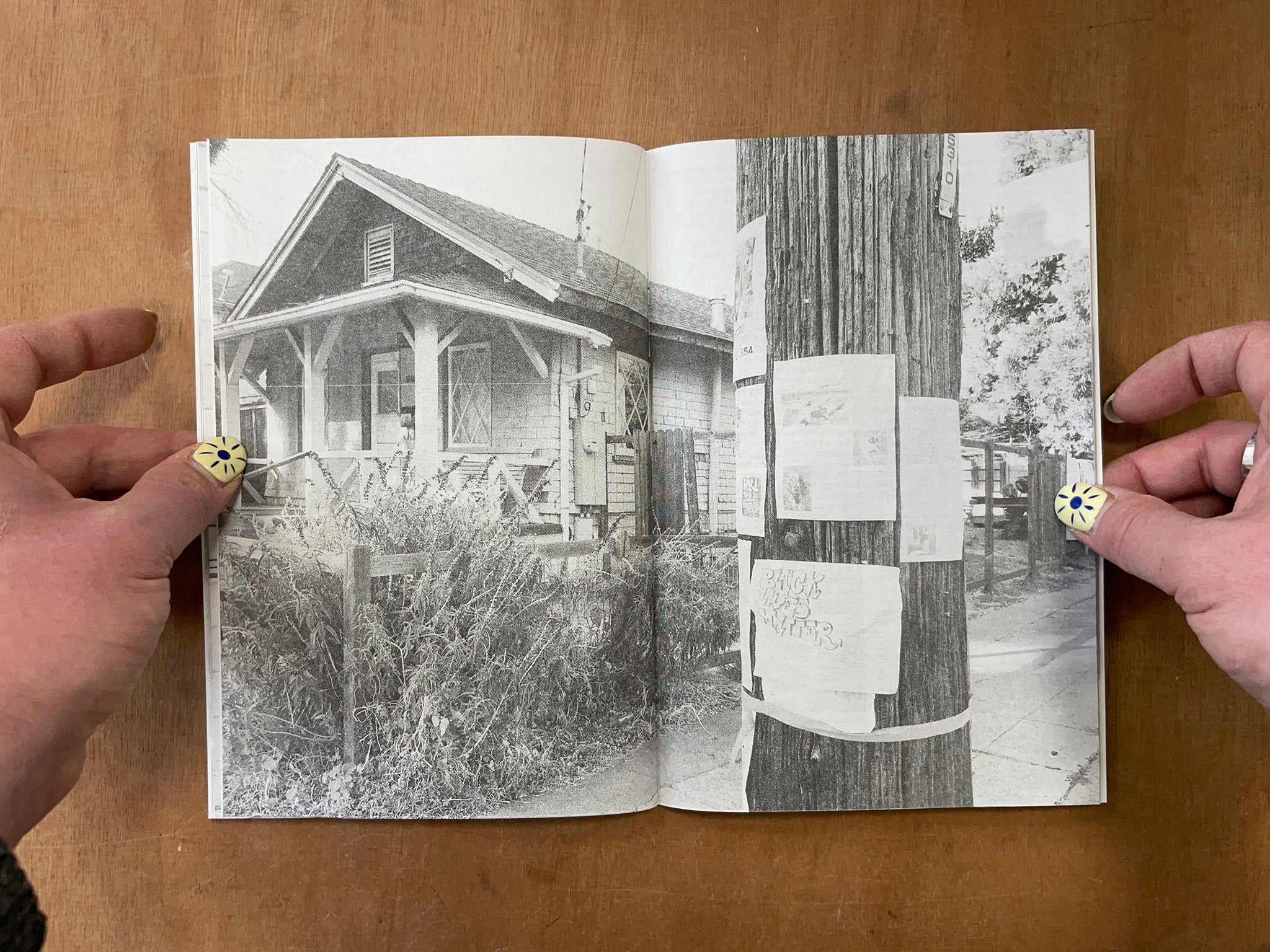 EMERYVILLE COOL FUN BOOKLET: CURRENT EDITIONS NO. 8 by Jessalyn Aaland