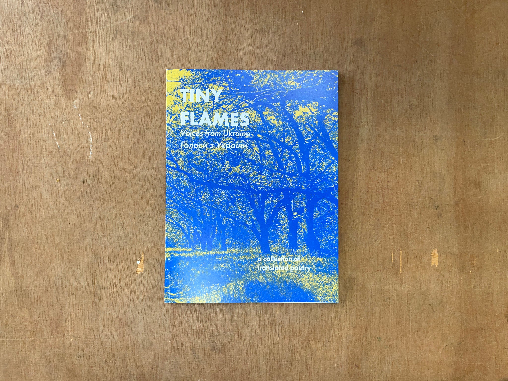 TINY FLAMES: VOICES FROM UKRAINE by Various Authors