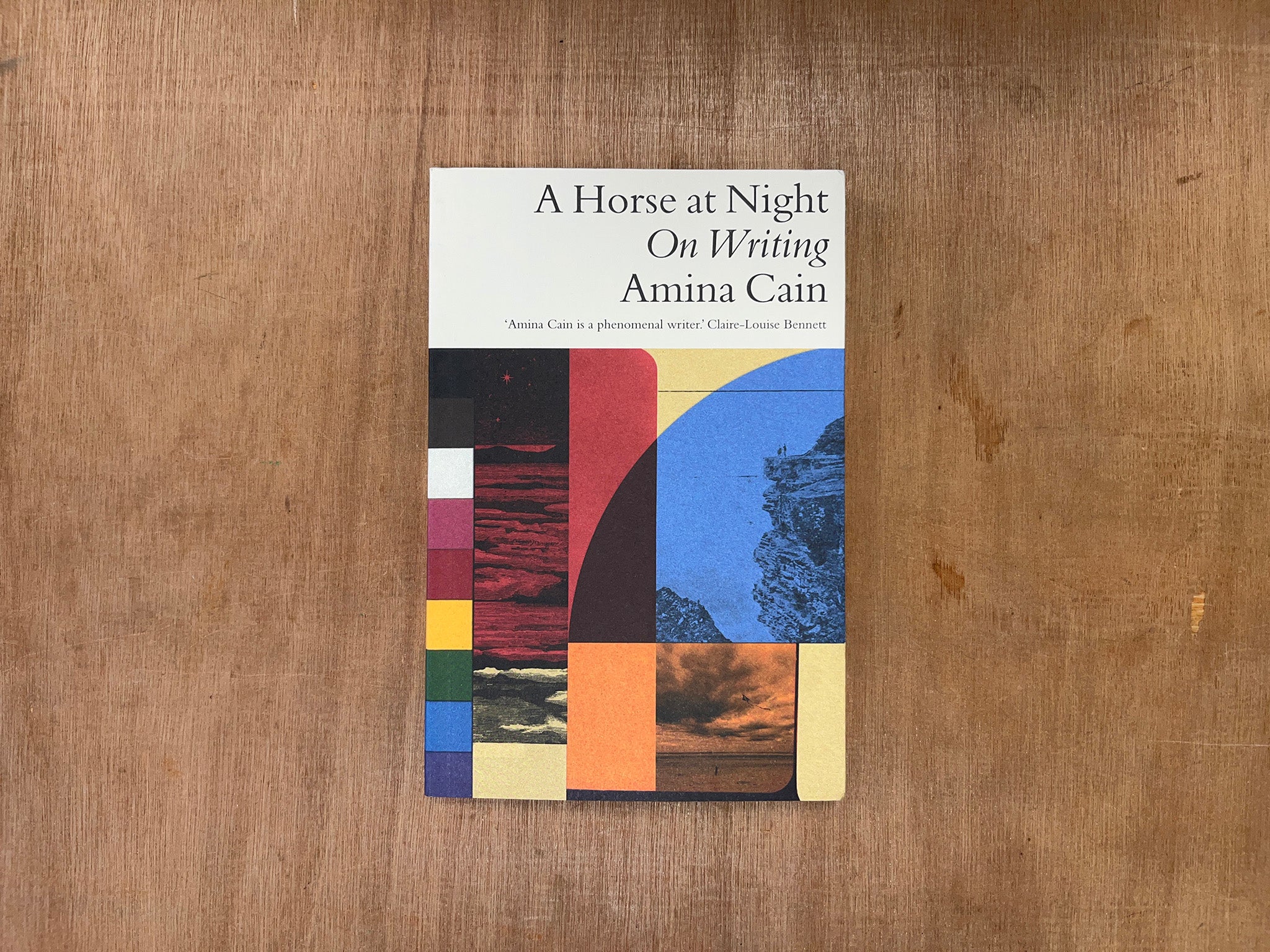 A HORSE AT NIGHT: ON WRITING by Amina Cain