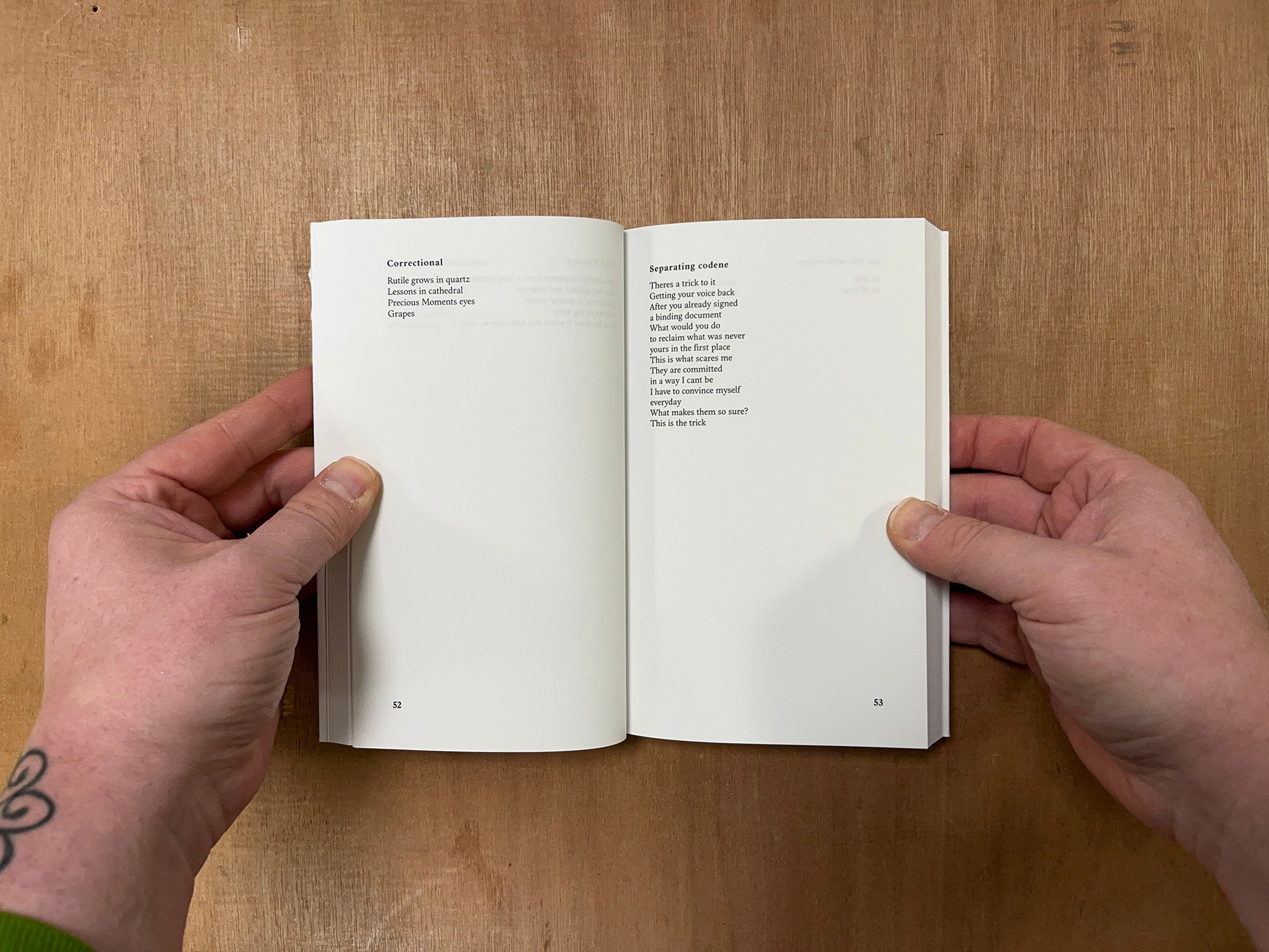 SADLY GLASS by Bunny Rogers