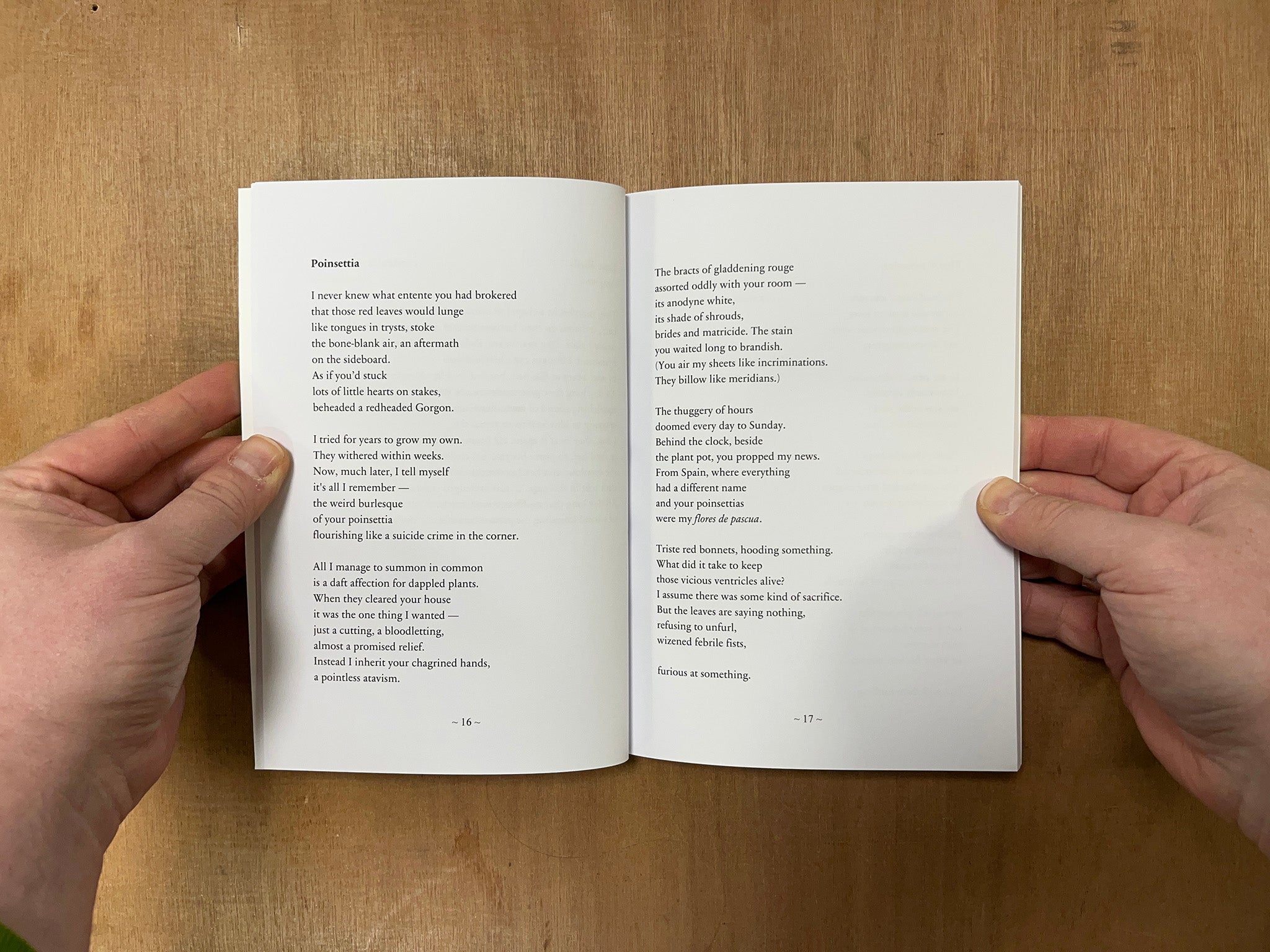 UMBELLIFIRE by Julie Sheridan