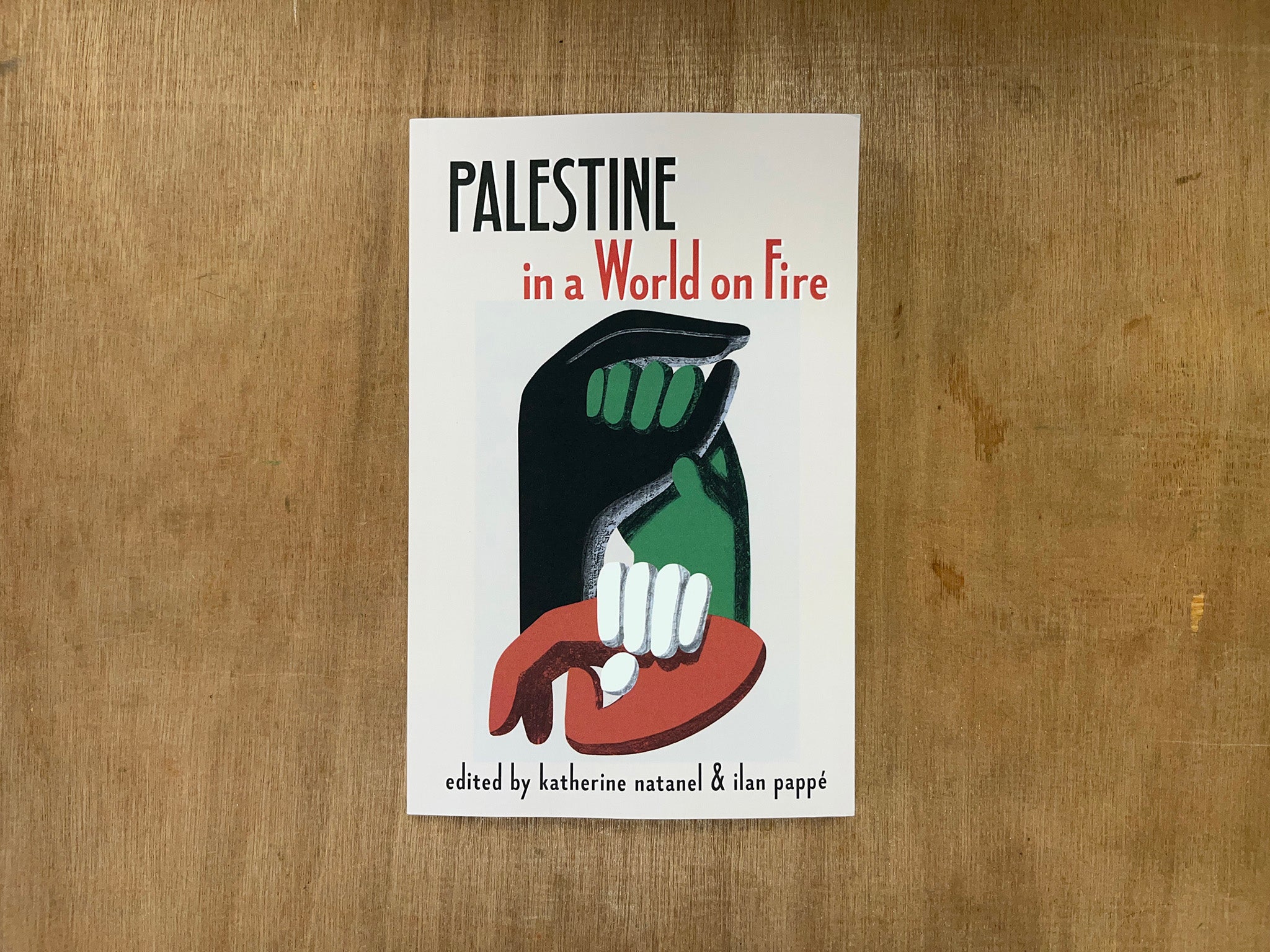 PALESTINE IN A WORLD ON FIRE: A GLOBAL CONVERSATION Edited by Ilan Pappé & Katherine Natanel