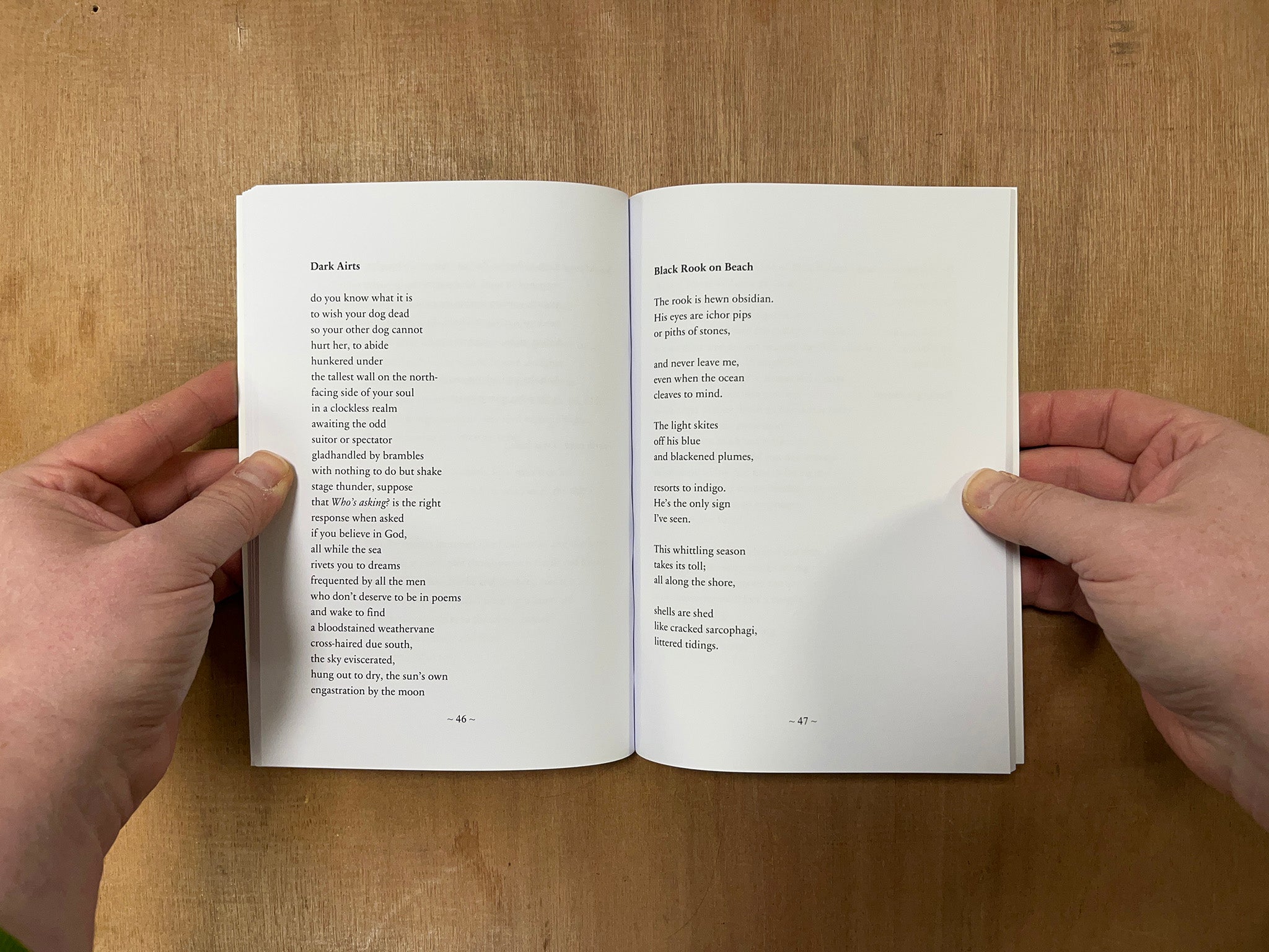 UMBELLIFIRE by Julie Sheridan