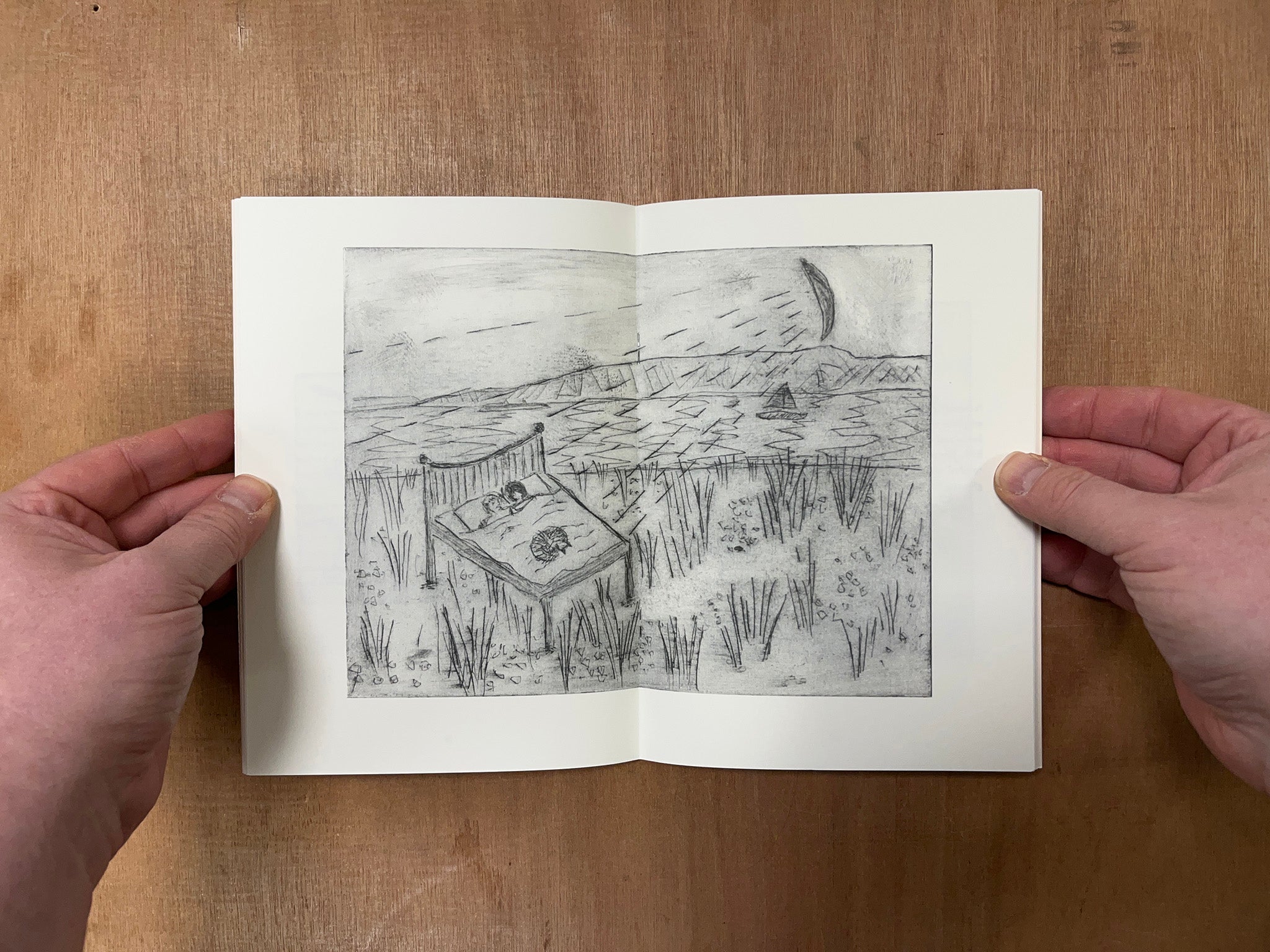 DREAM DIARY by Mark Saunders