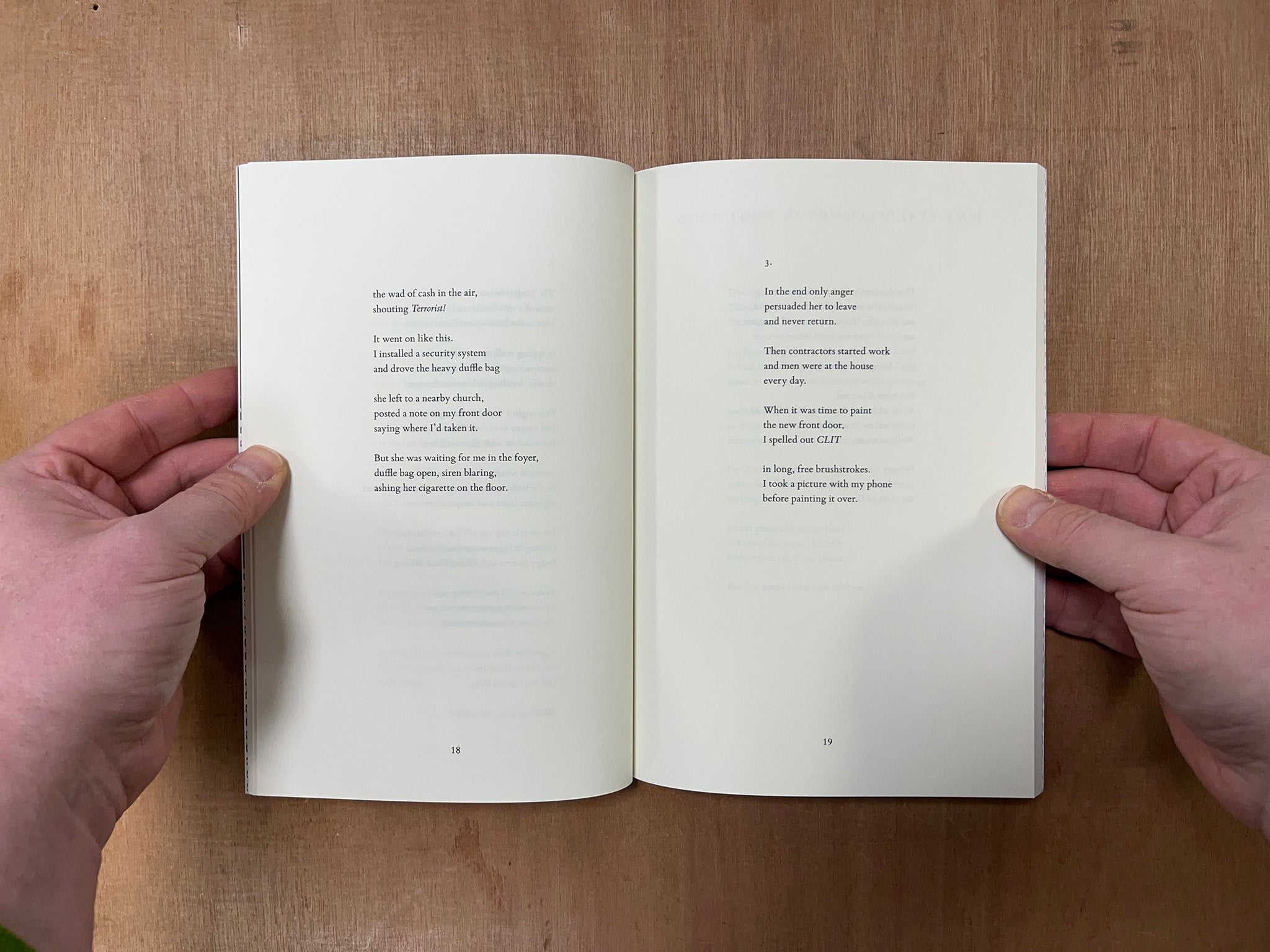 MONK FRUIT by Edward Salem