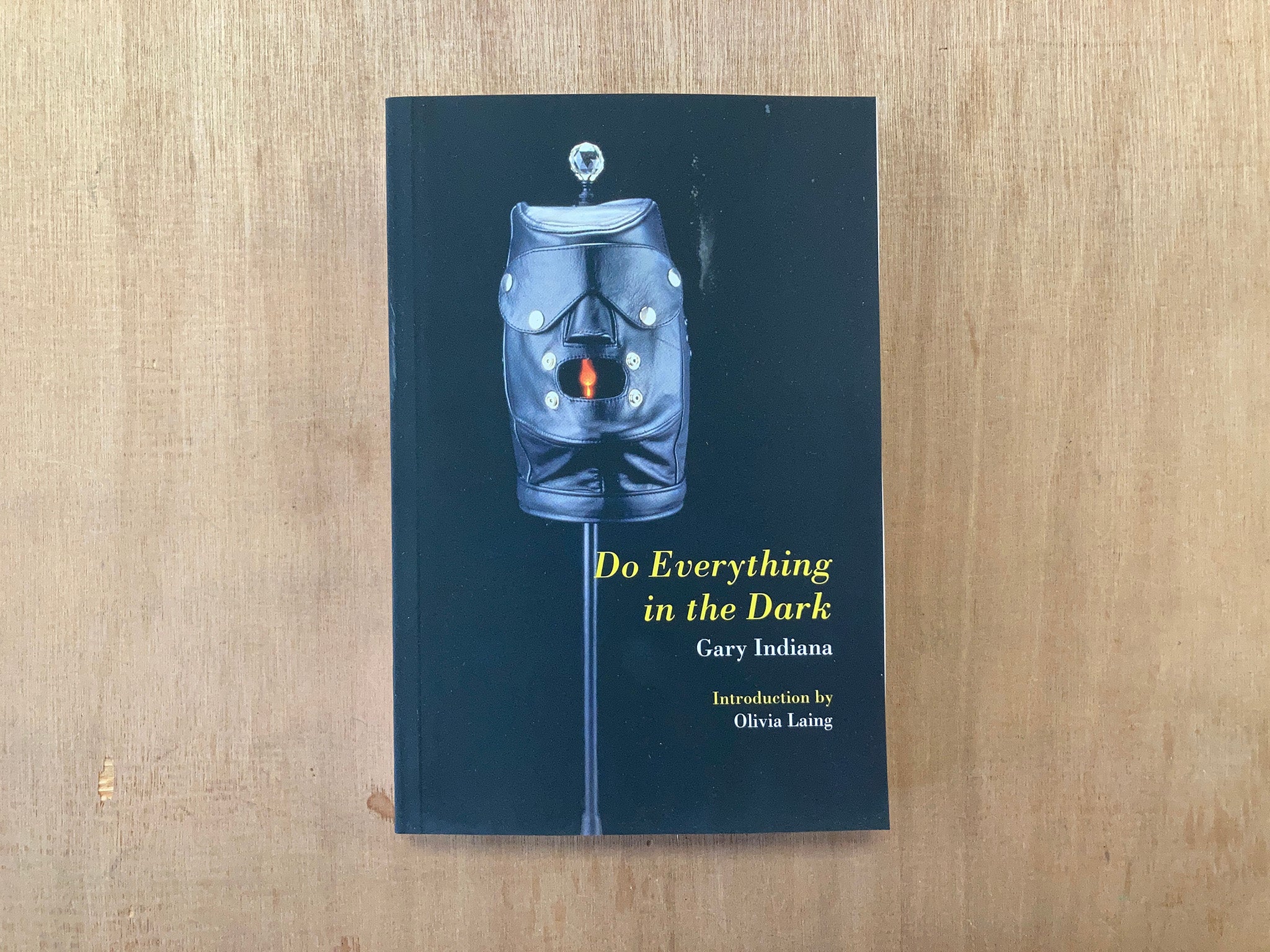 DO EVERYTHING IN THE DARK by Gary Indiana