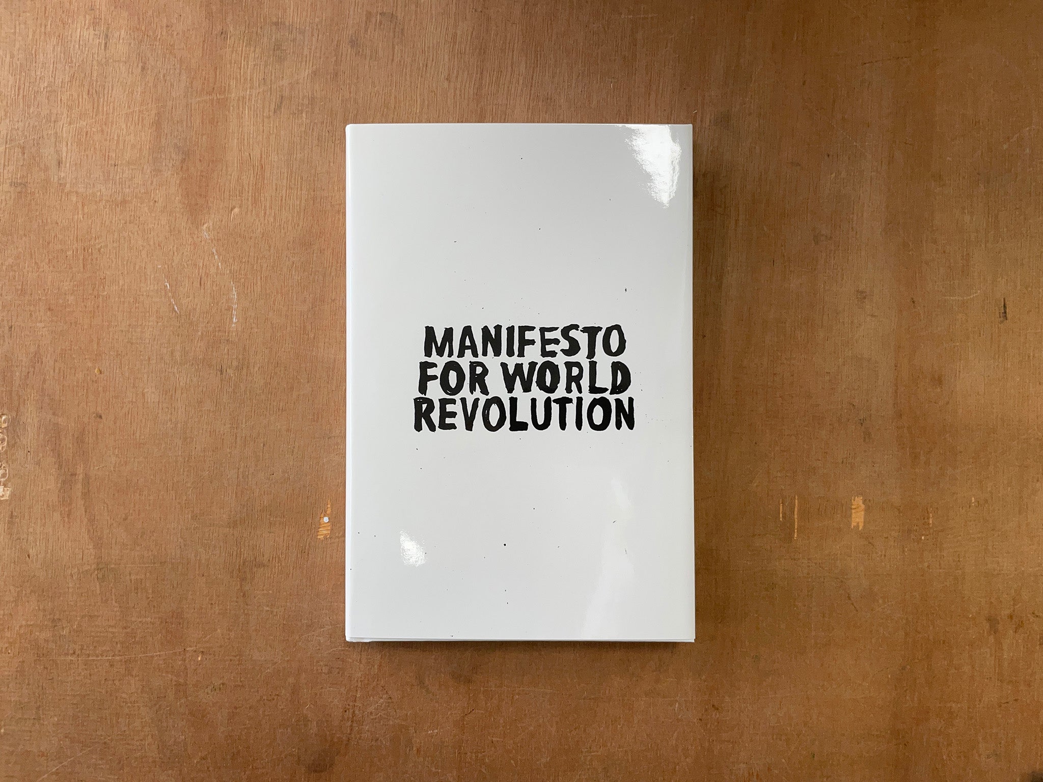 A MANIFESTO FOR WORLD REVOLUTION by Kalle Lasn