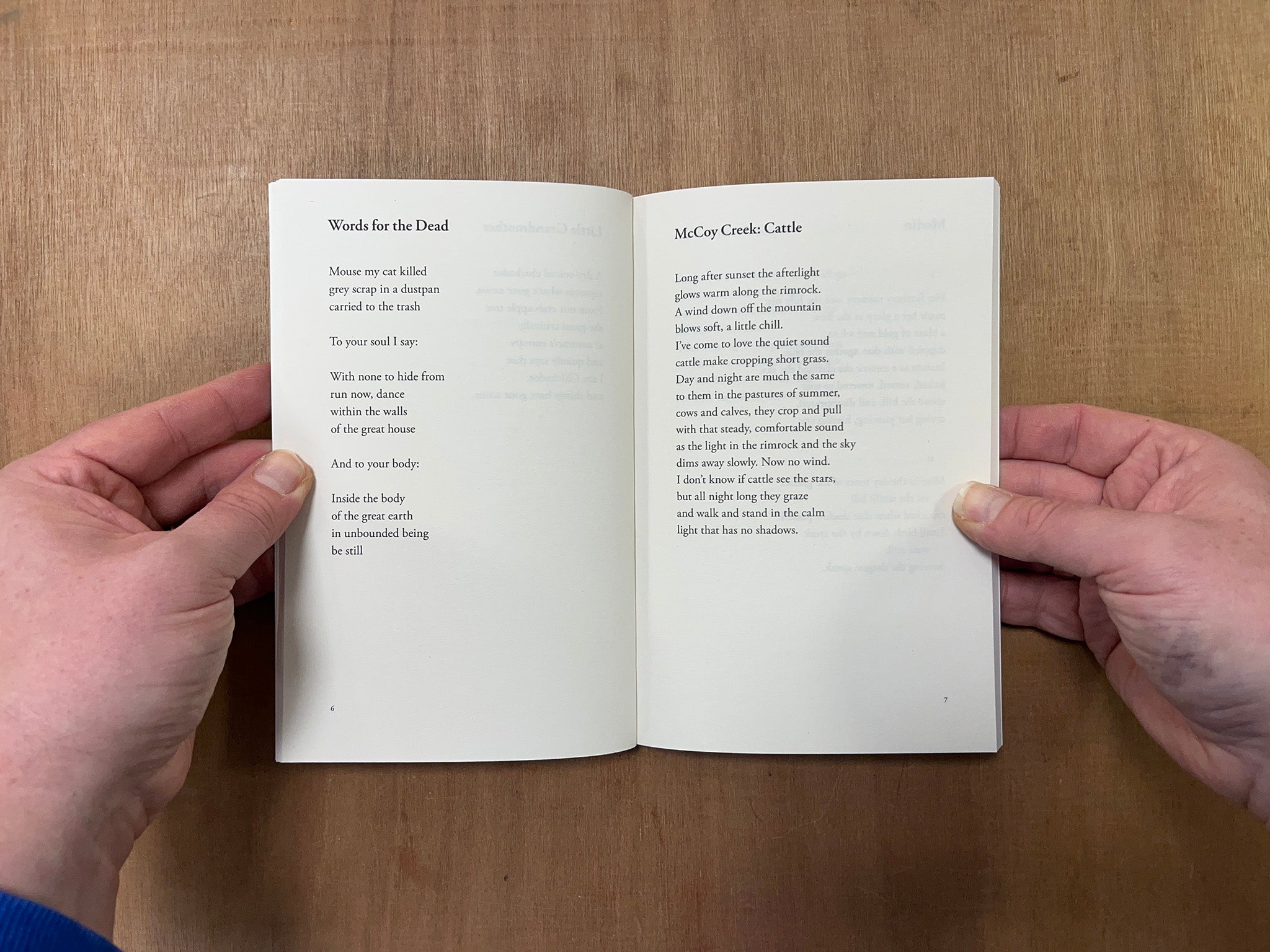 SO FAR SO GOOD - FINAL POEMS: 2014-2018 by Ursula K. Le Guin