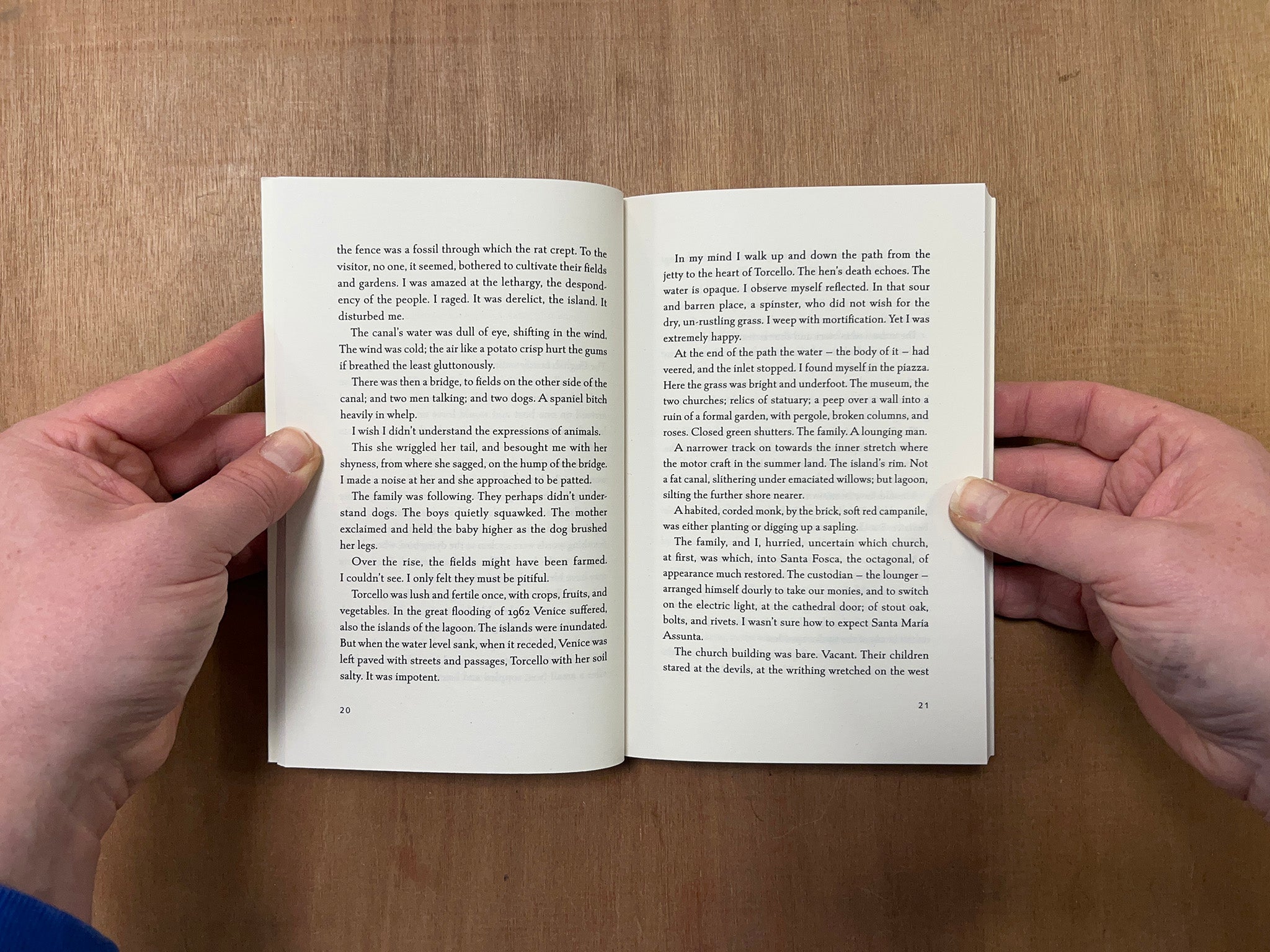 DREAMING OF DEAD PEOPLE by Rosalind Belben