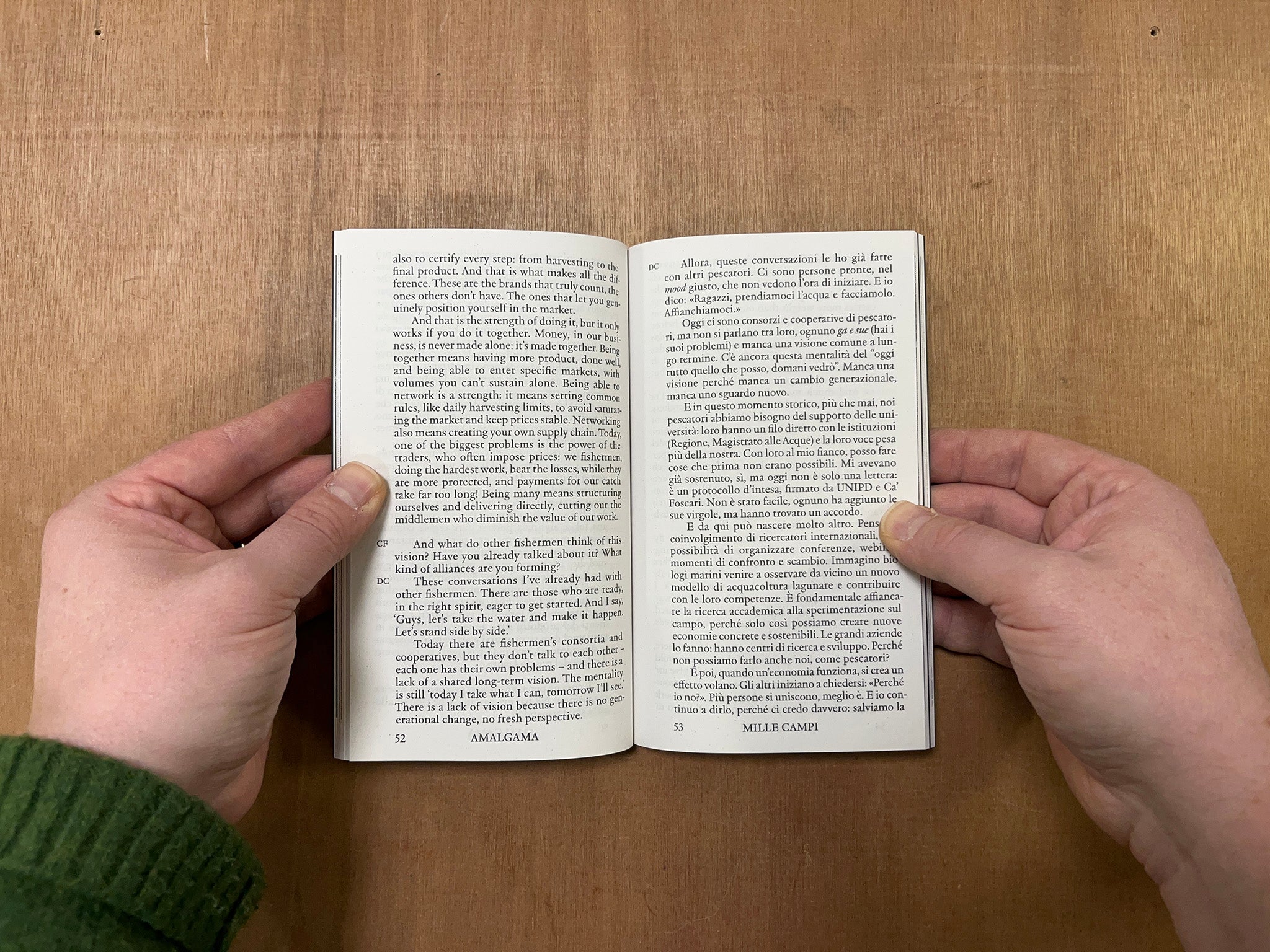 AMALGAMA by Chiara Famengo (Ed.)