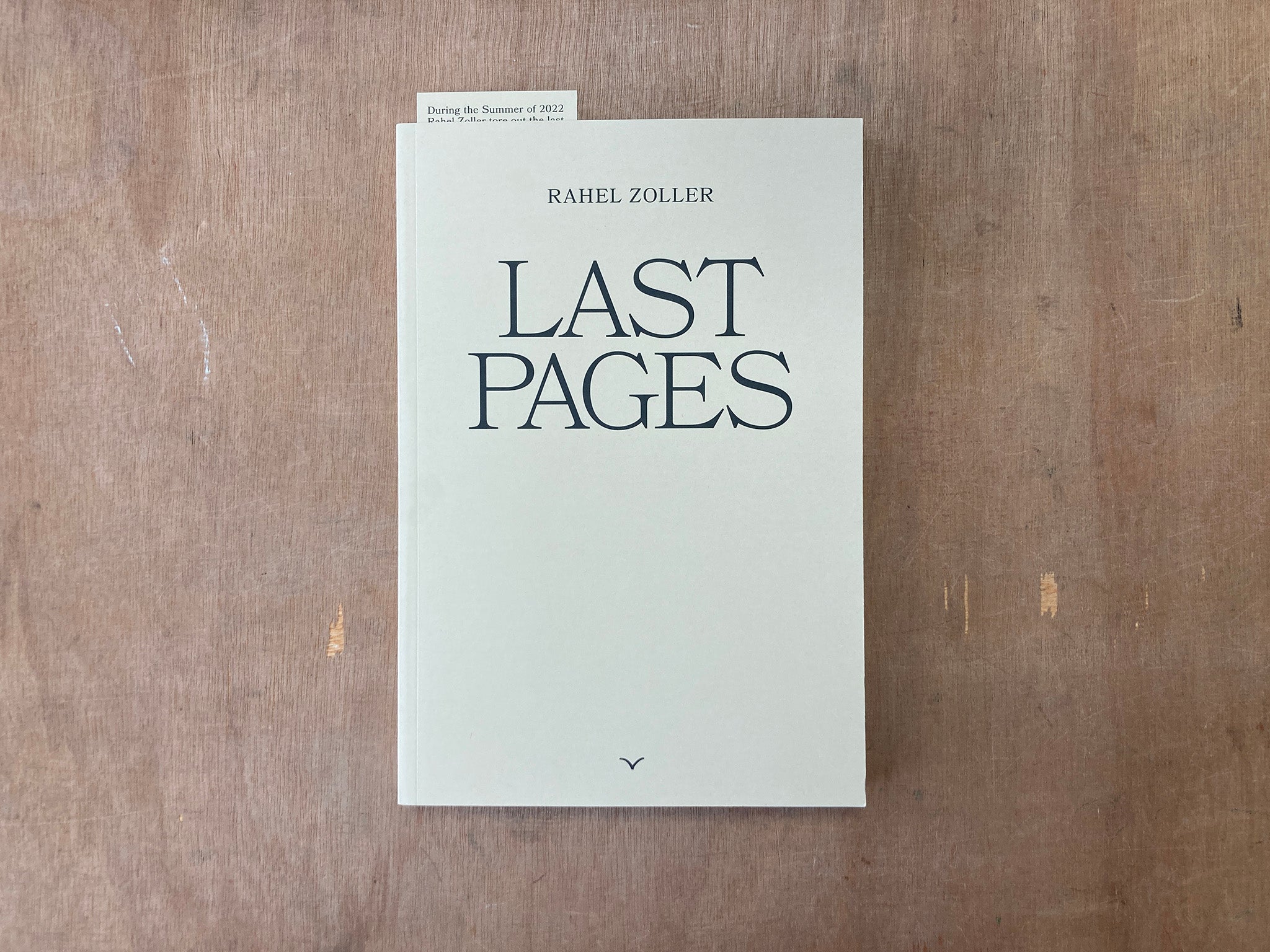 LAST PAGES by Rahel Zoller