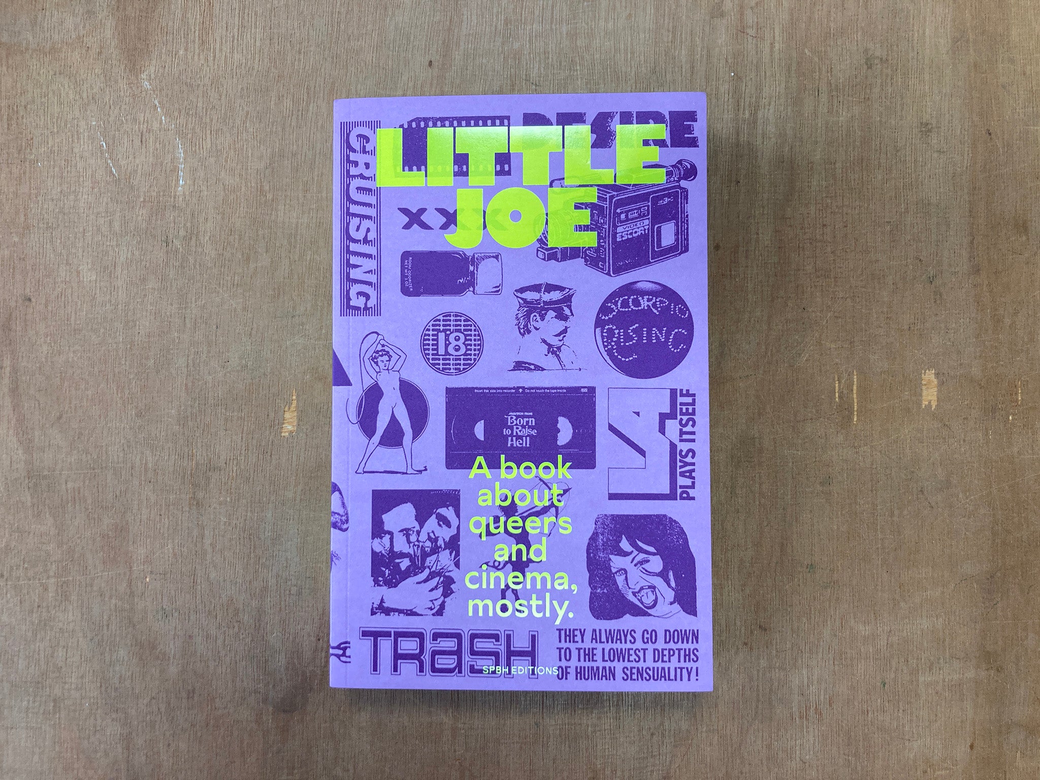 LITTLE JOE: A BOOK ABOUT QUEERS AND CINEMA, MOSTLY edited by Sam Ashby