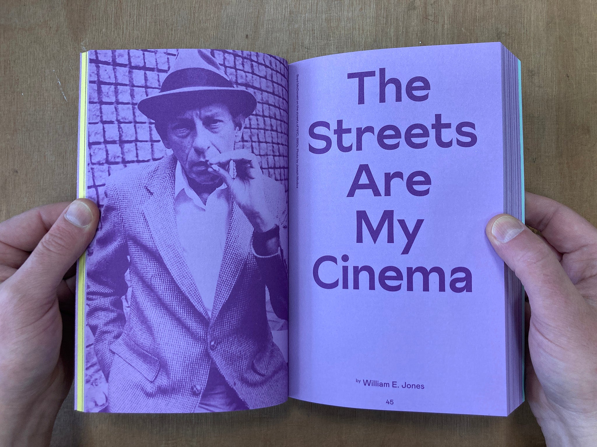 LITTLE JOE: A BOOK ABOUT QUEERS AND CINEMA, MOSTLY edited by Sam Ashby