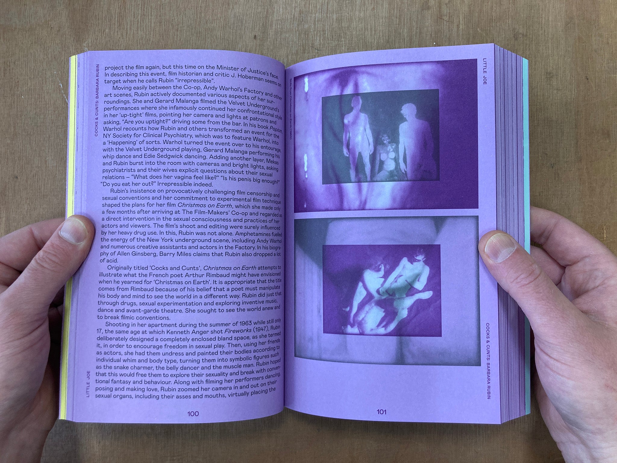 LITTLE JOE: A BOOK ABOUT QUEERS AND CINEMA, MOSTLY edited by Sam Ashby