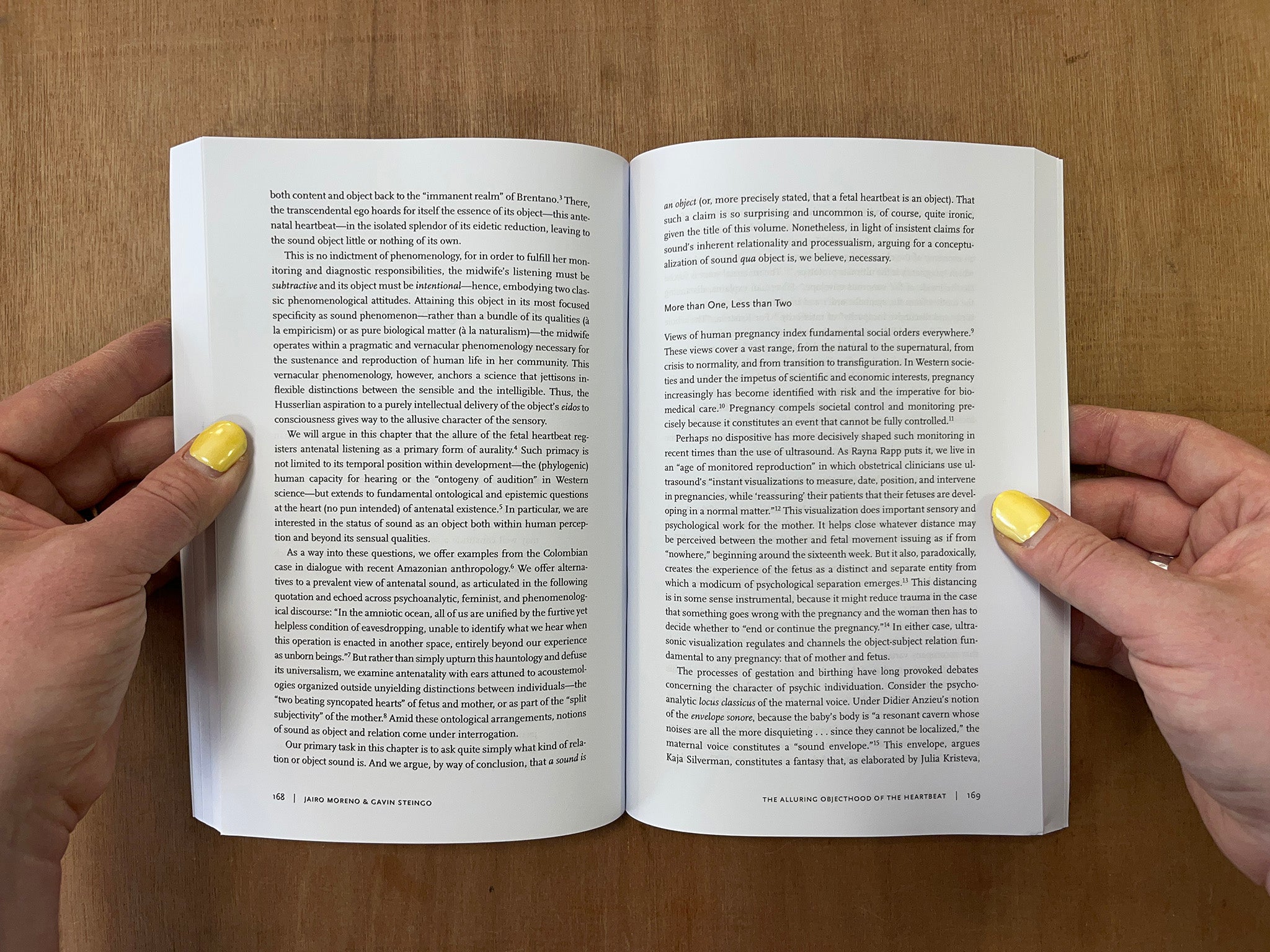 SOUND OBJECTS by James A. Steintrager & Rey Chow