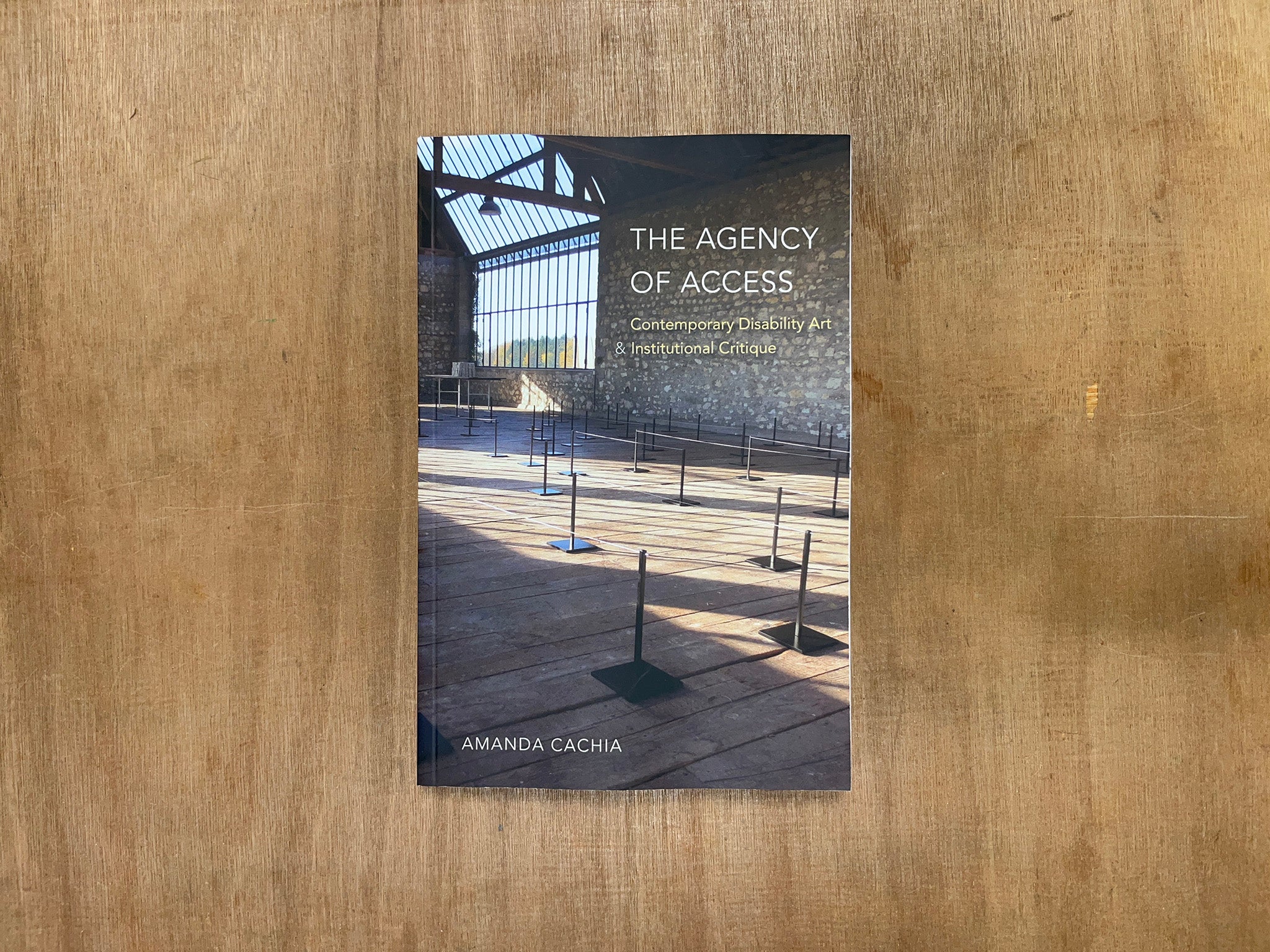 THE AGENCY OF ACCESS: CONTEMPORARY DISABILITY ART & INSTITUTIONAL CRITIQUE by Amanda Cachia