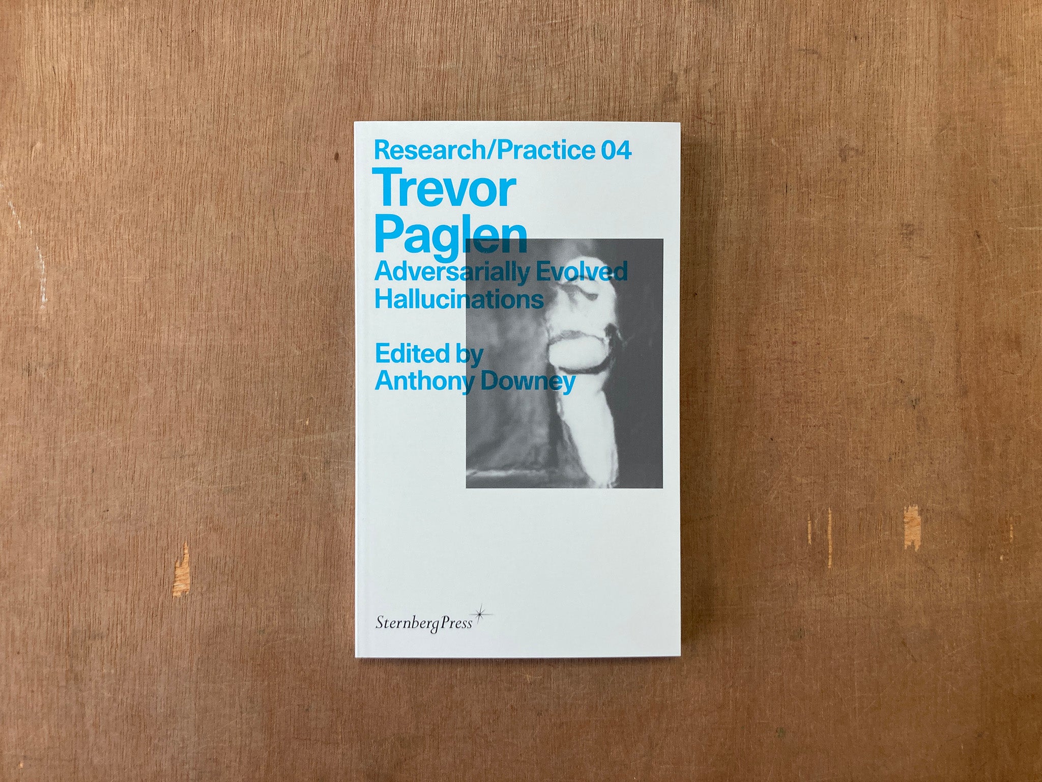 ADVERSARIALLY EVOLVED HALLUCINATIONS by Trevor Paglen