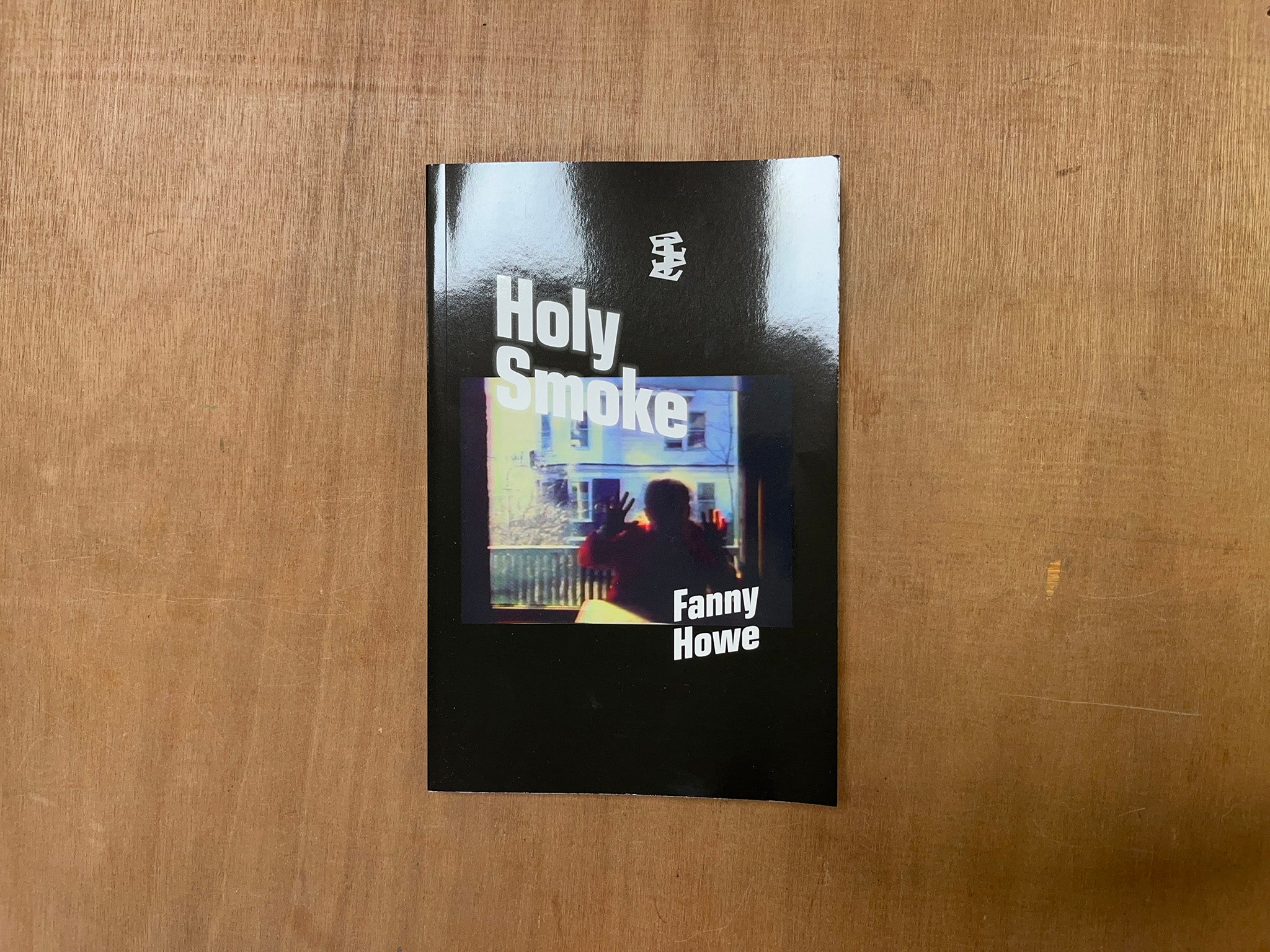 HOLY SMOKE by Fanny Howe
